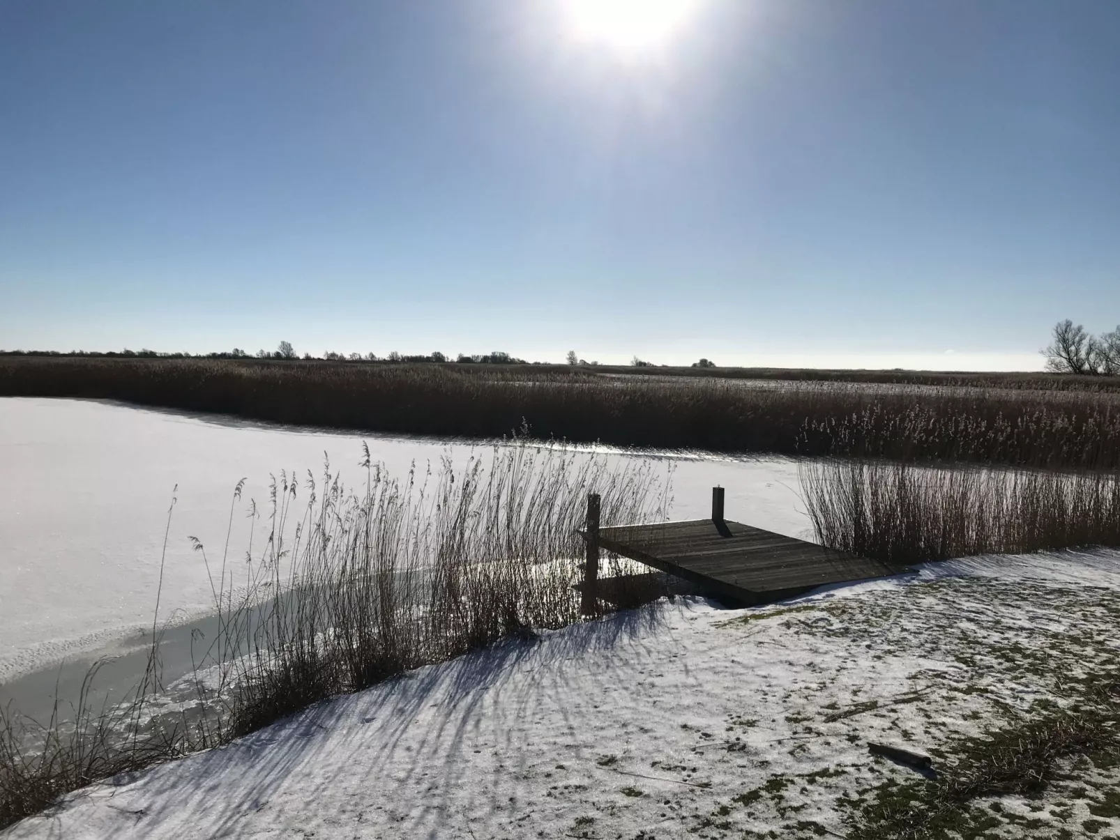 Modernes Ferienhaus mit Sauna und Whirlpool-Buiten