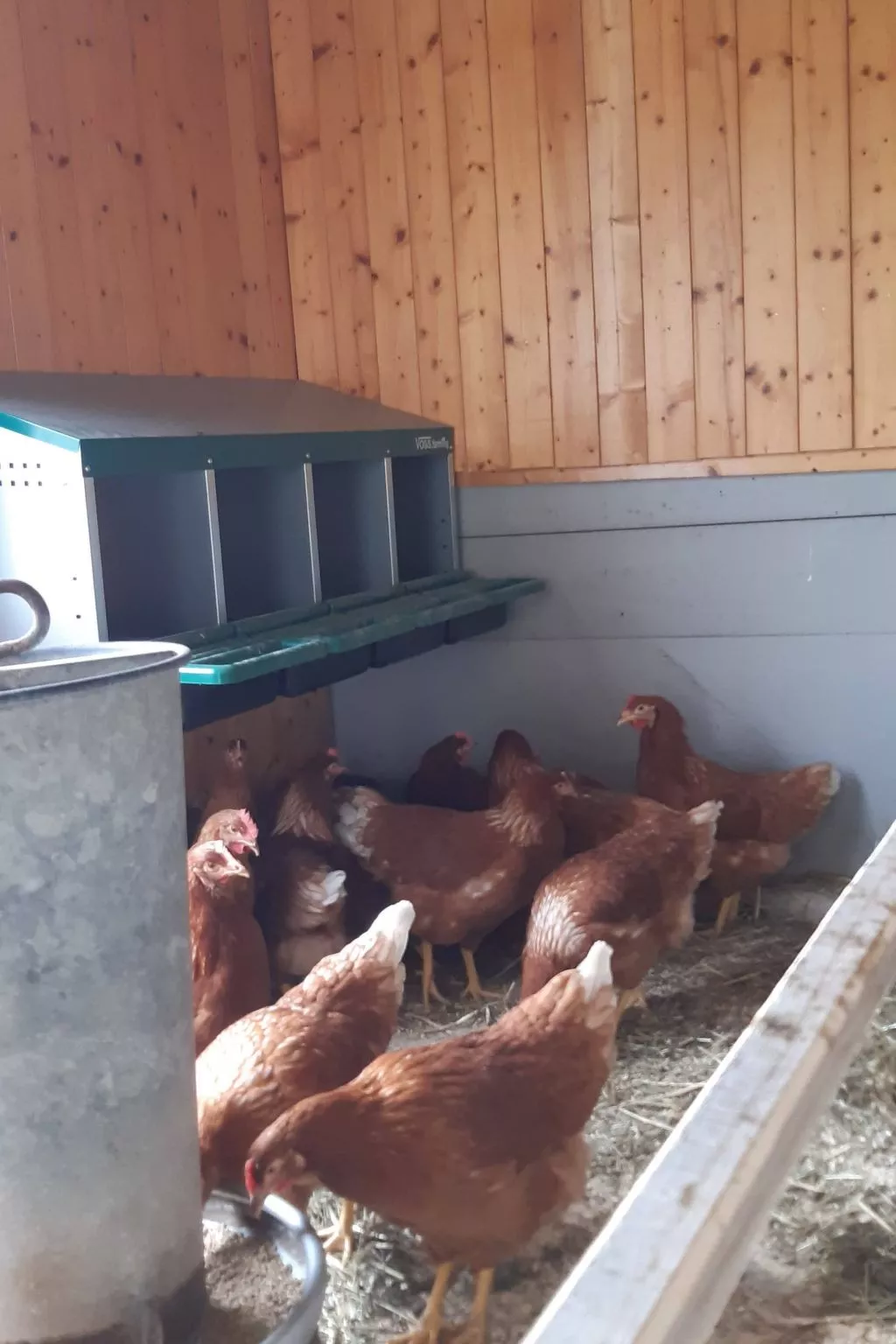 Rothornblick-Image-tags.info