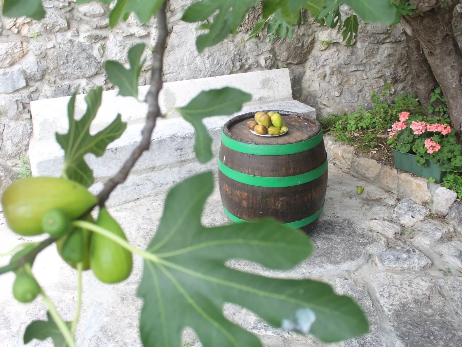 Geräumige Villa mit drei Schlafzimmern und einem ruhigen Garten-Buiten