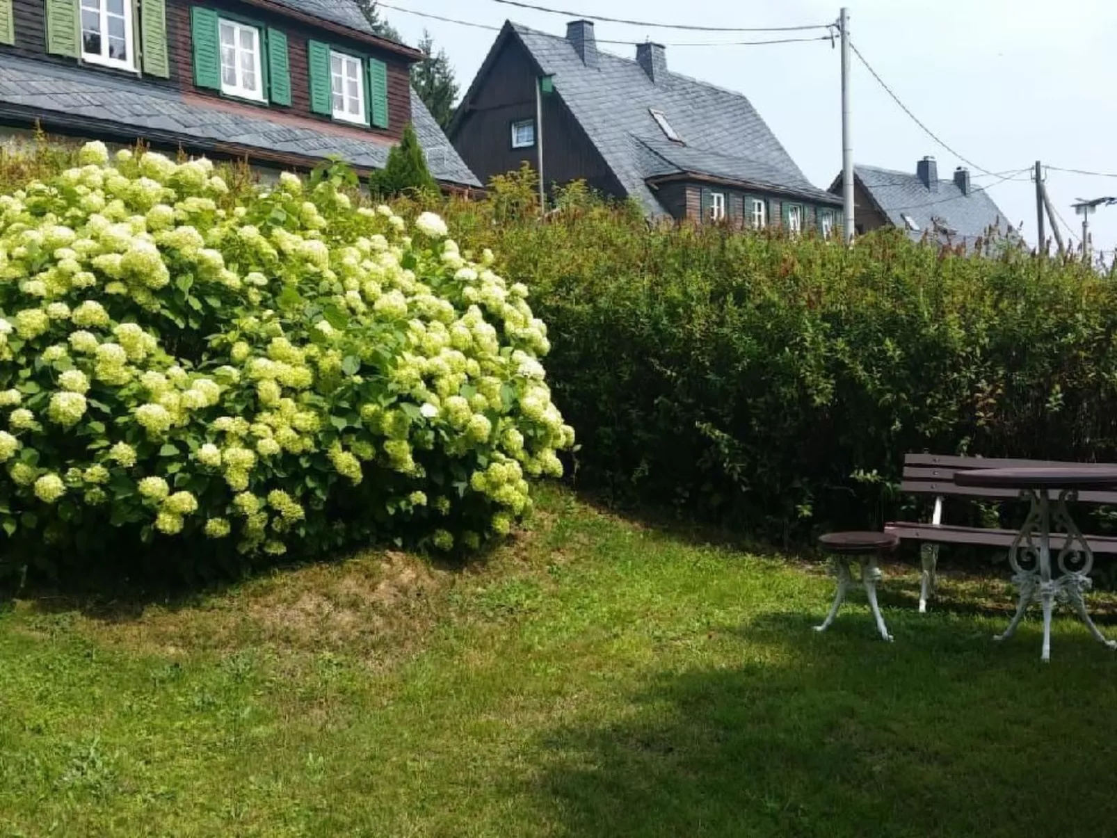 Am Wald mit Sauna-Image-tags.info