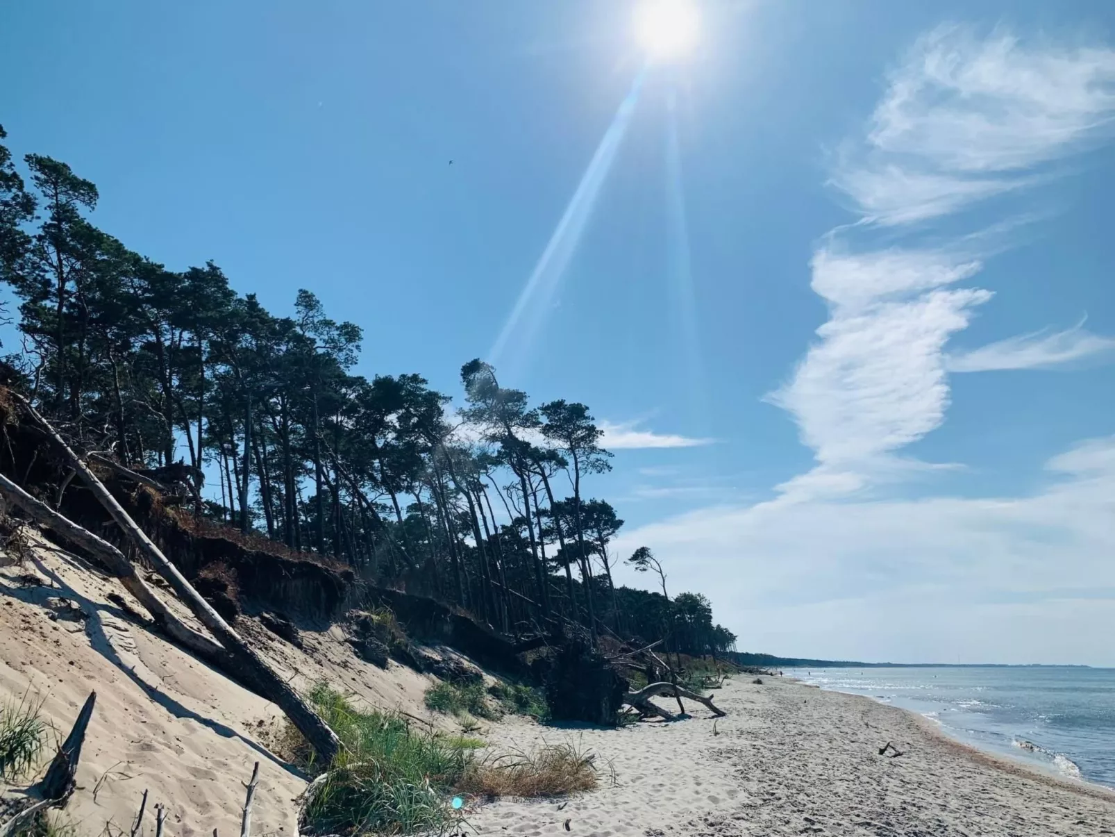 Wohnung 5-Image-tags.info