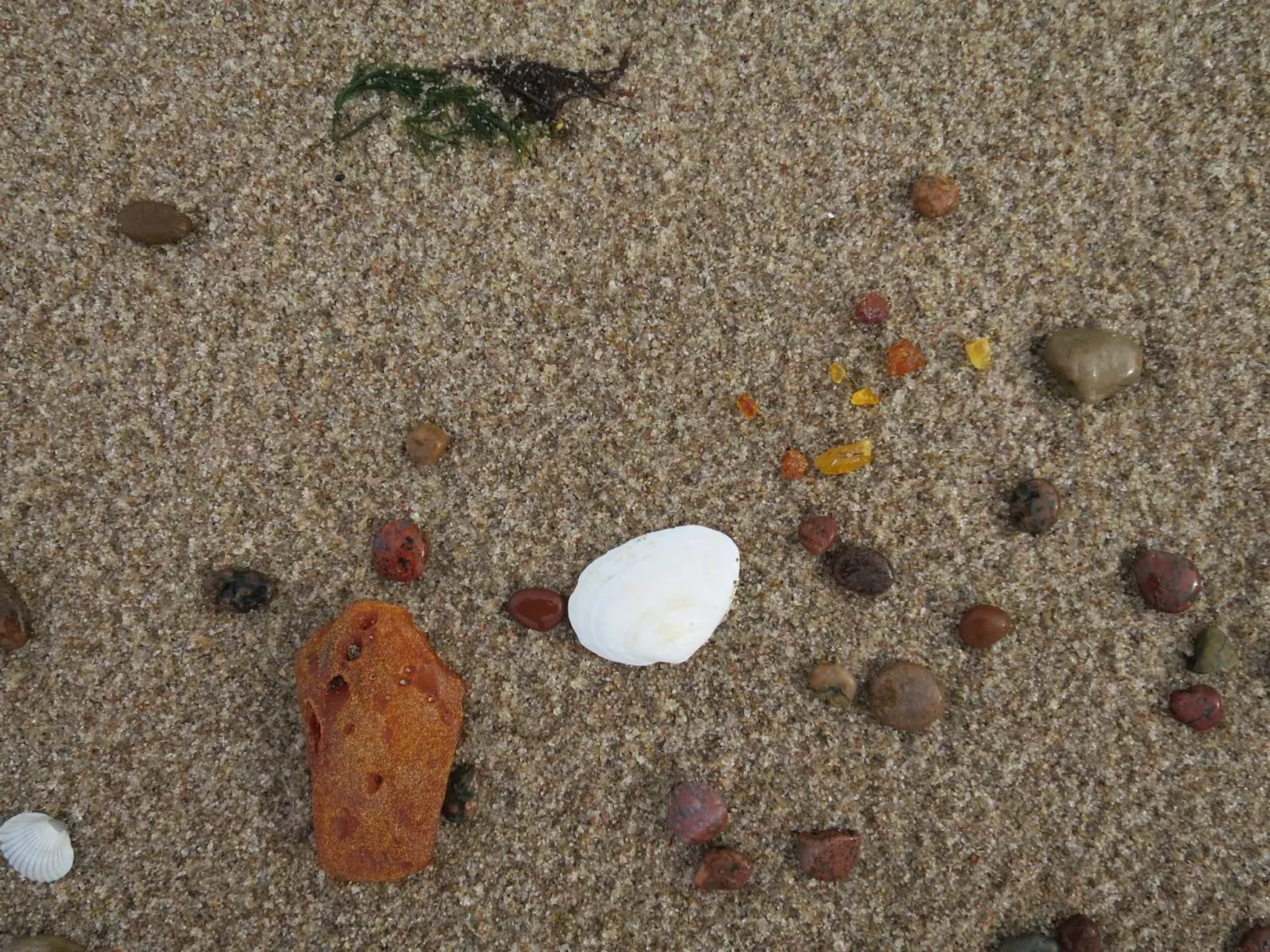 Fewo 2-Image-tags.info