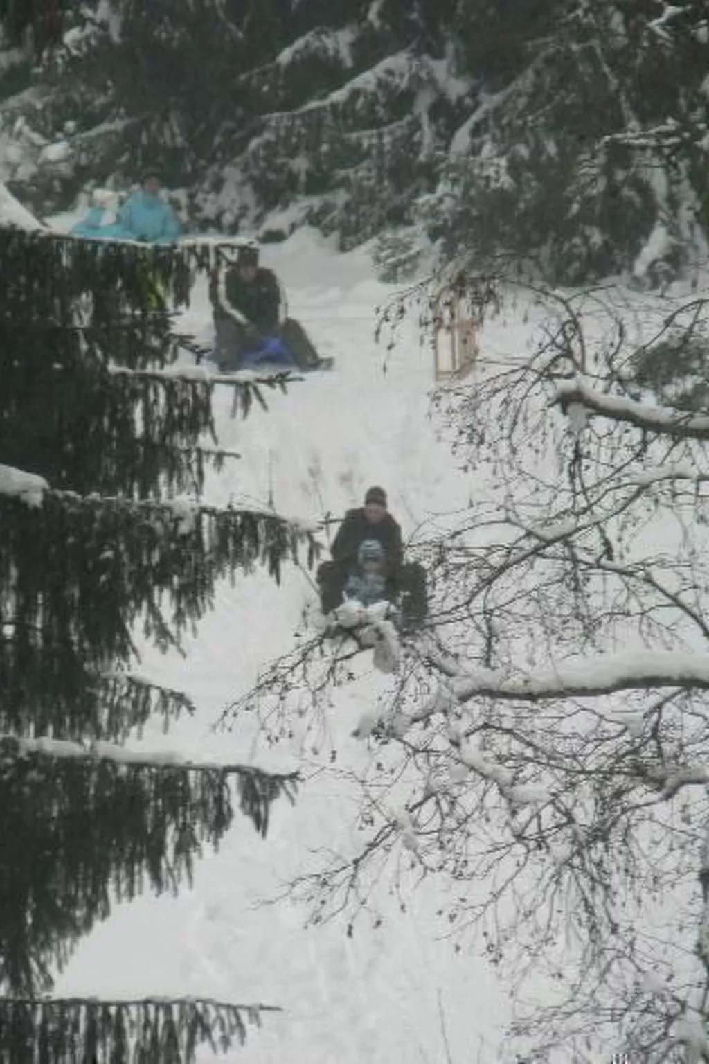 Für 6 Personen im Thüringer Wald-Image-tags.info