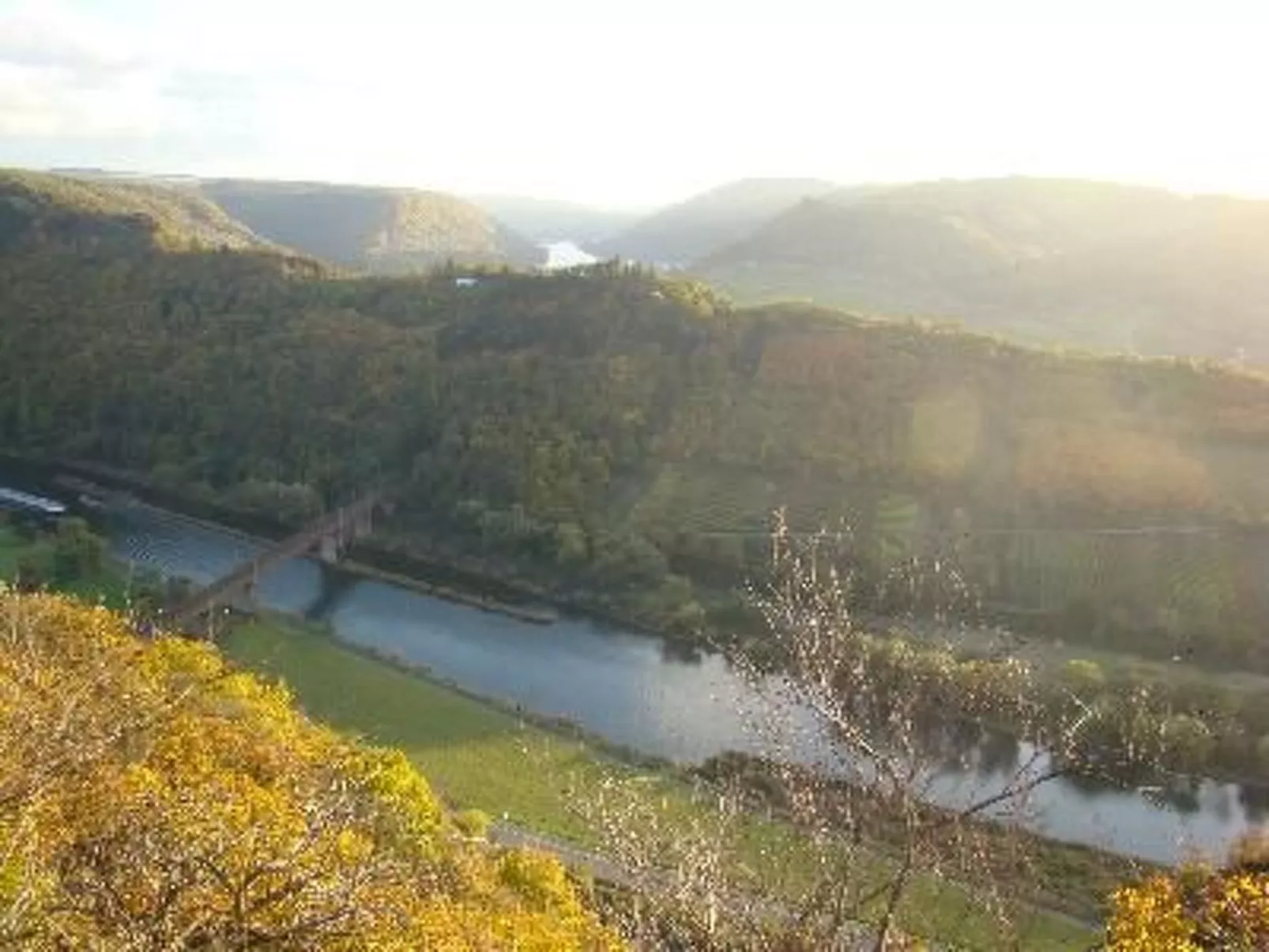 Altes Winzerhaus in Mesenich-Image-tags.info