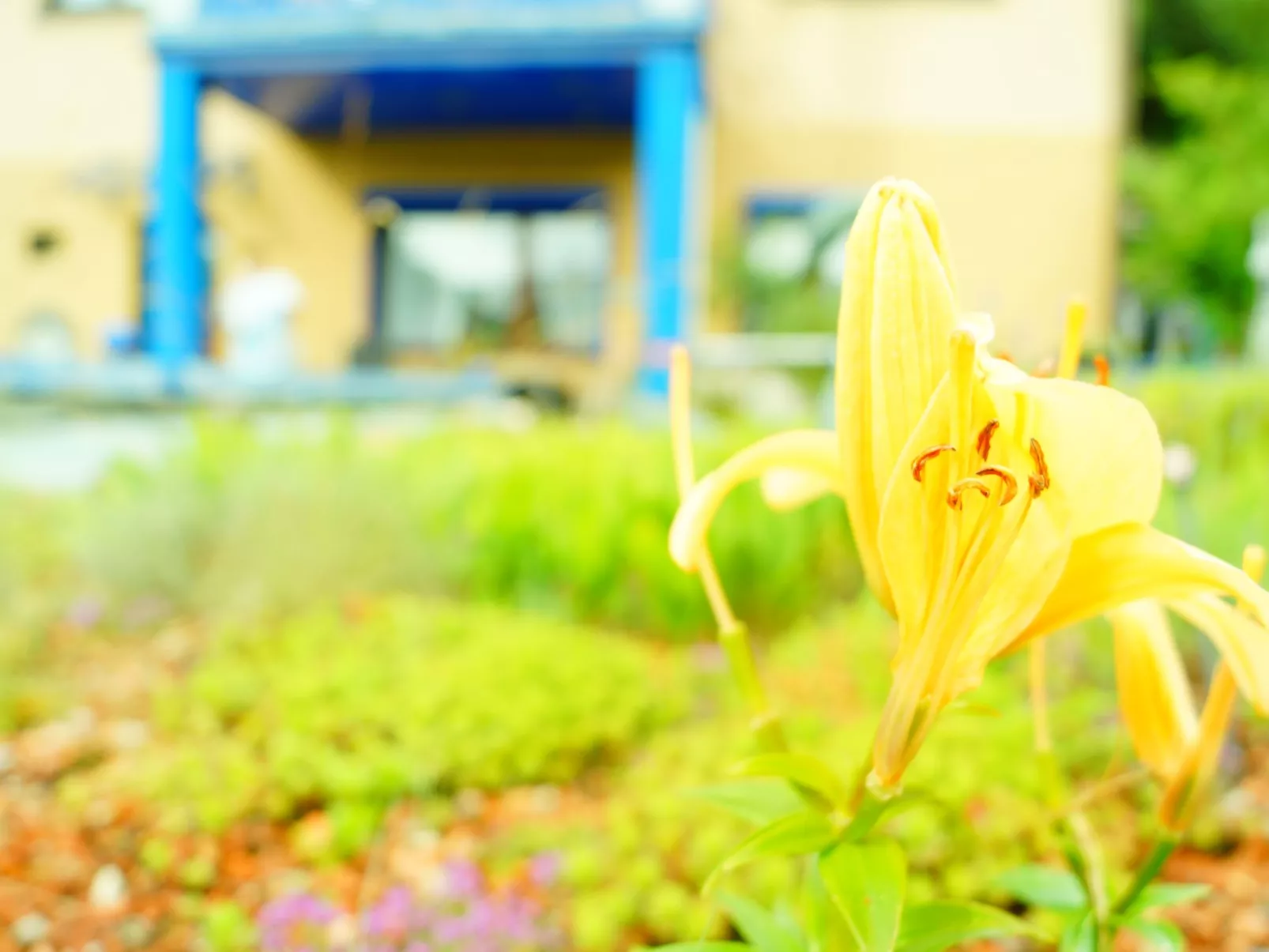Monterosa in Baden-Baden-Buiten