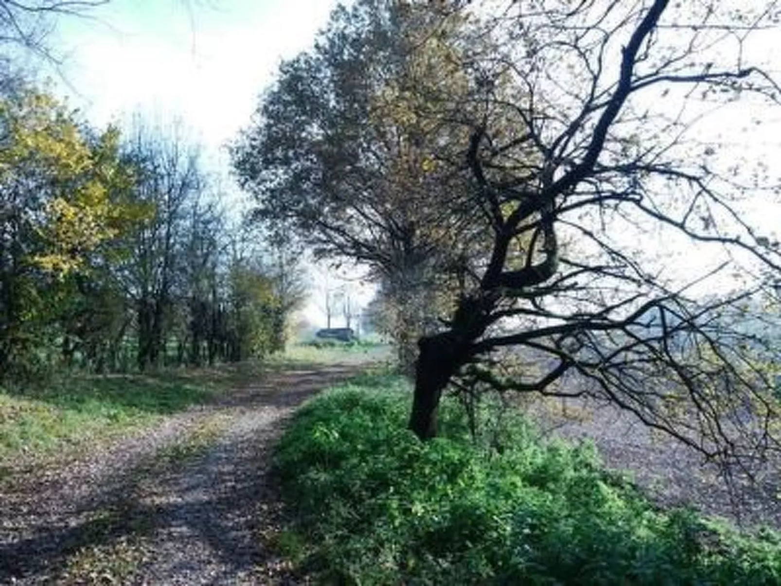 FeWo Haus Unkelbach-Buiten