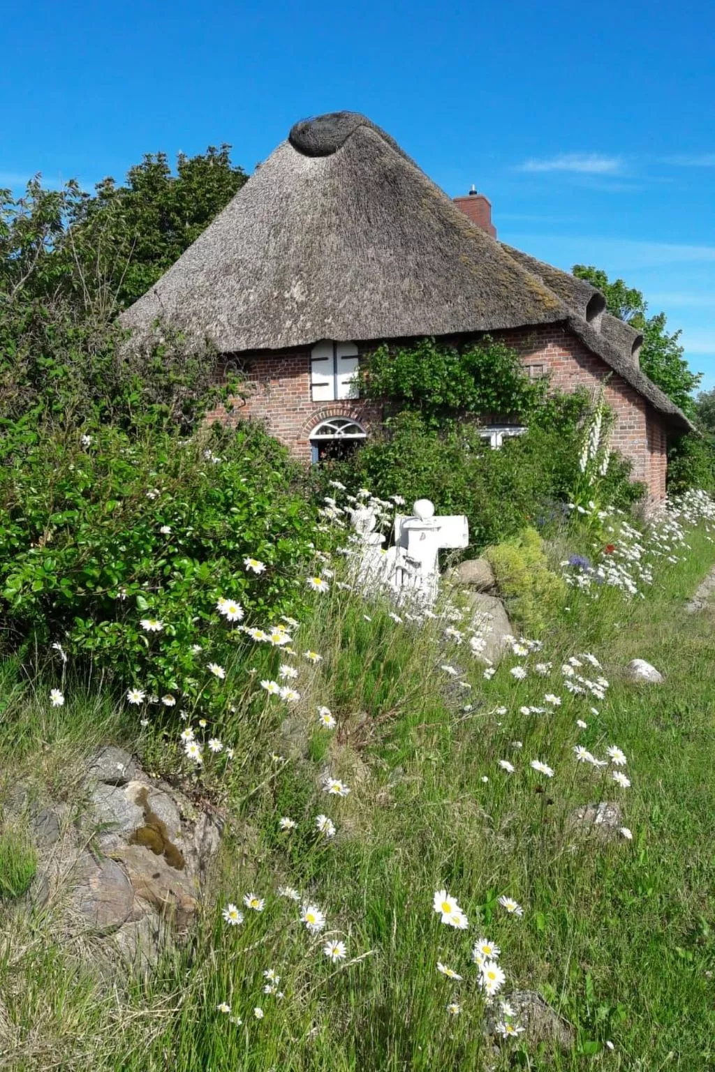 Apartment im Friesenhaus Dikhü-Buiten