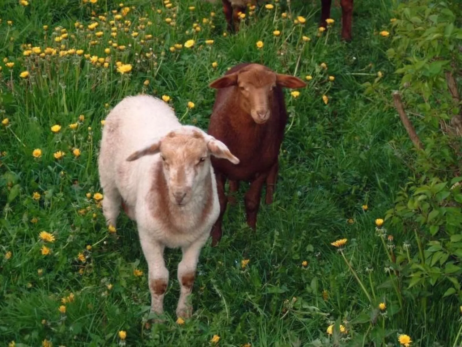 Mit Meerblick - direkt an der Ostsee-Buiten