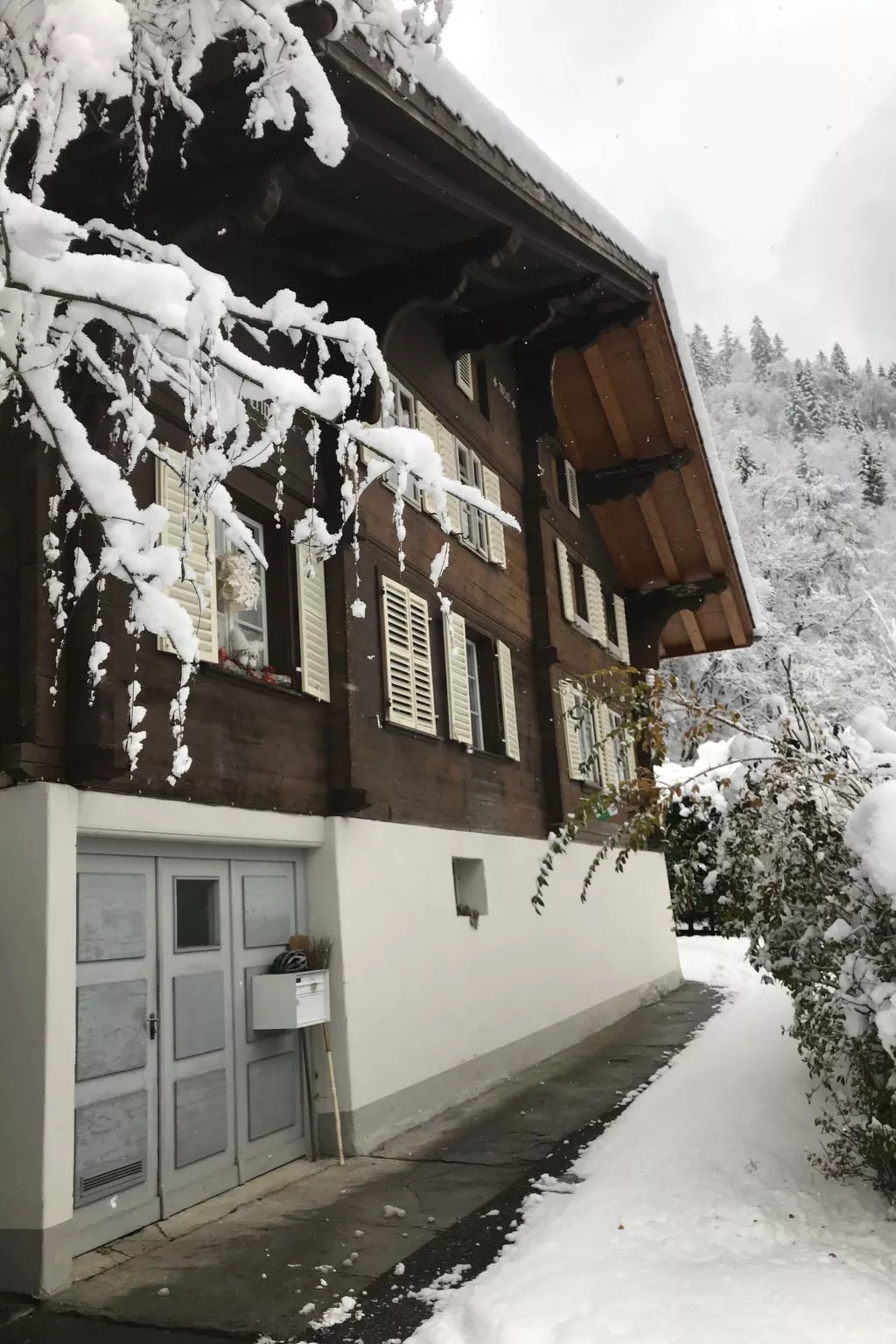 Chalet Tripfi-Buiten