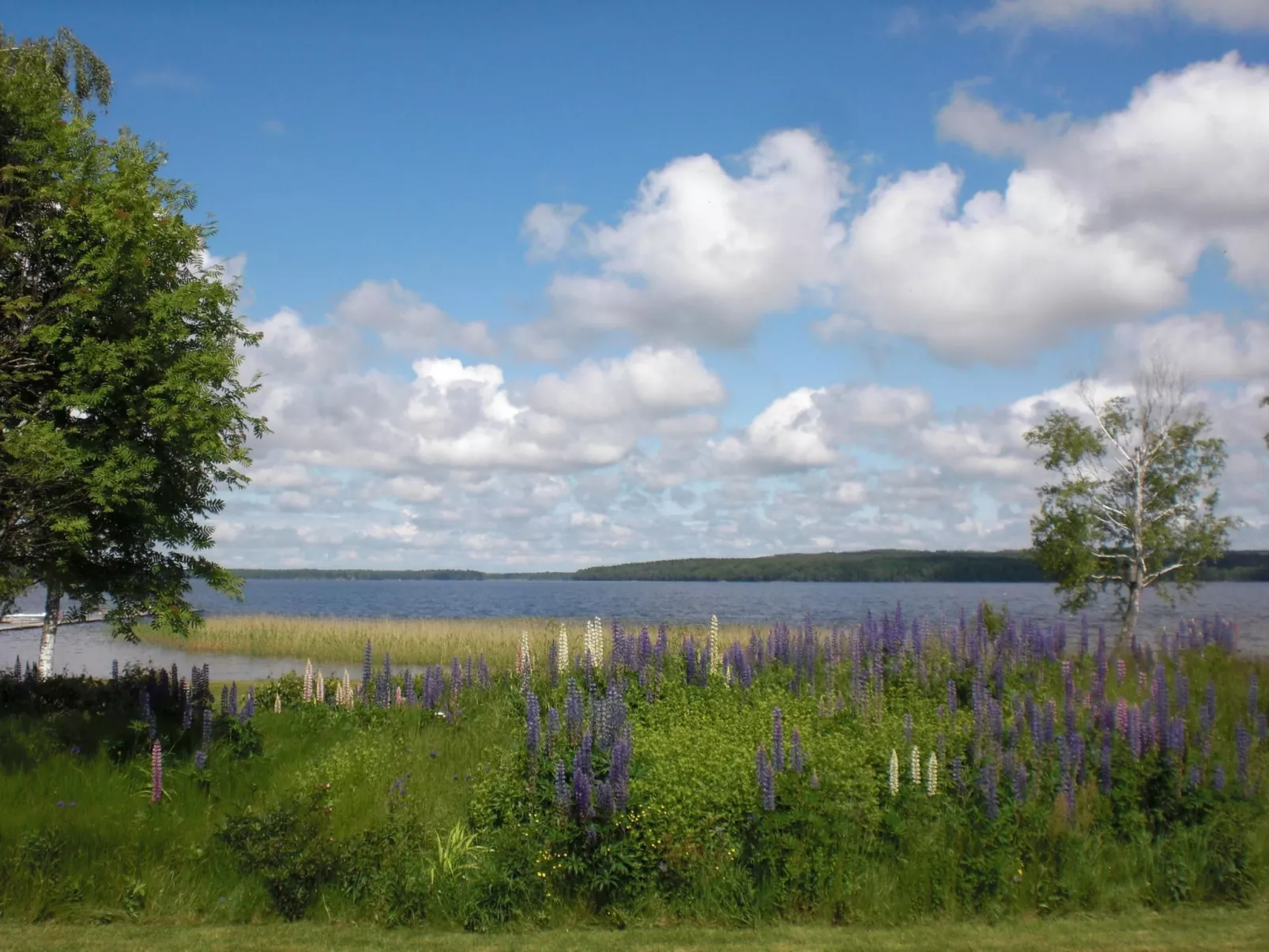 In Tibro mit Kleinem Garten-Buiten