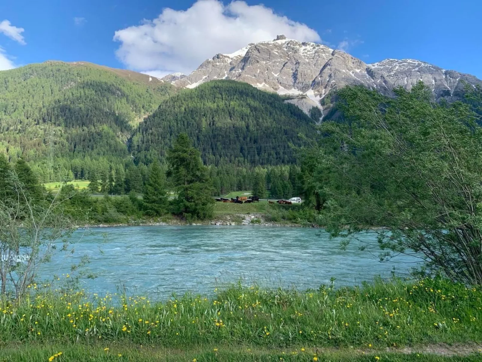 Chesa Genziana-Buiten