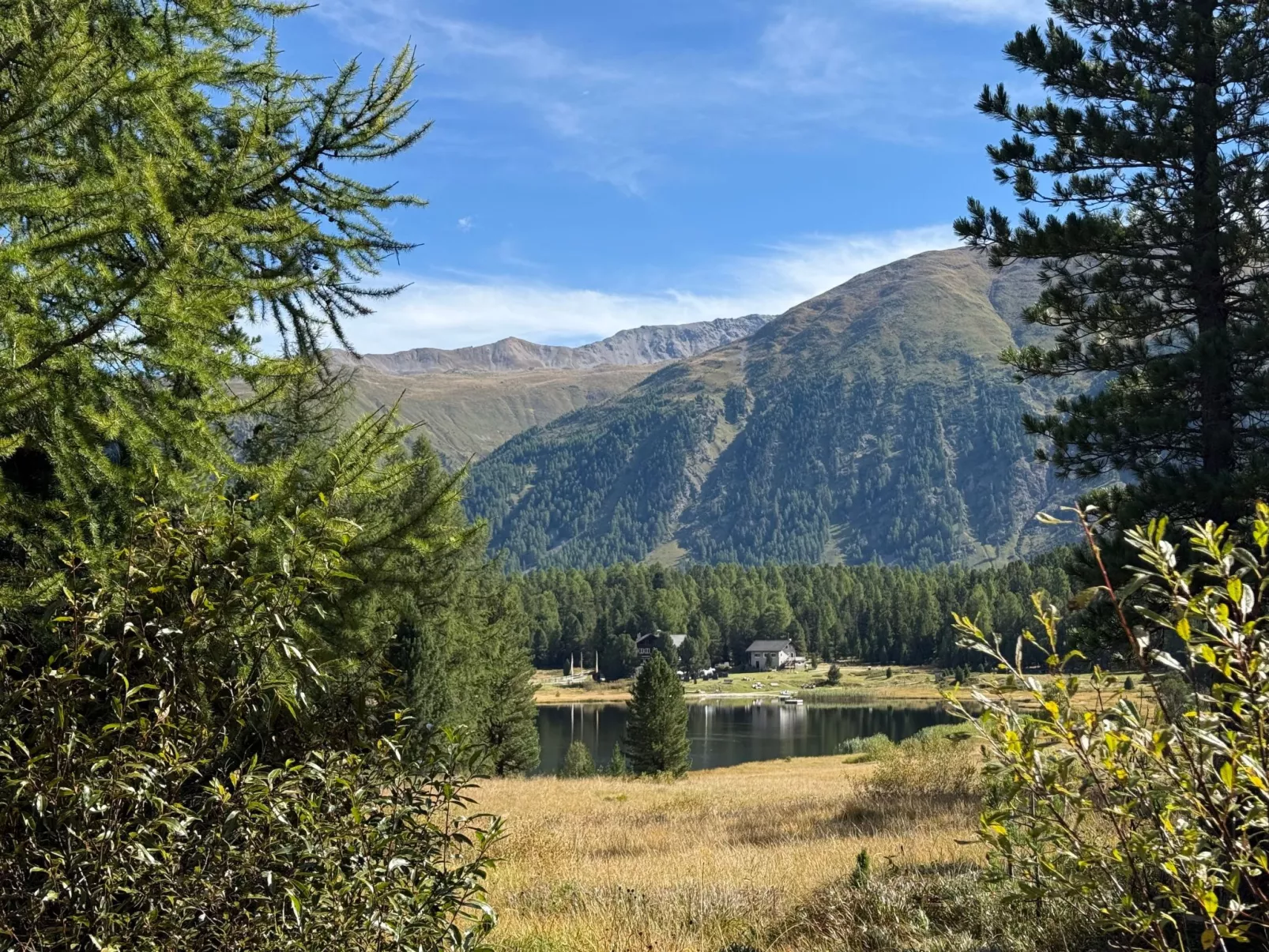 Chesa Robinson-Buiten