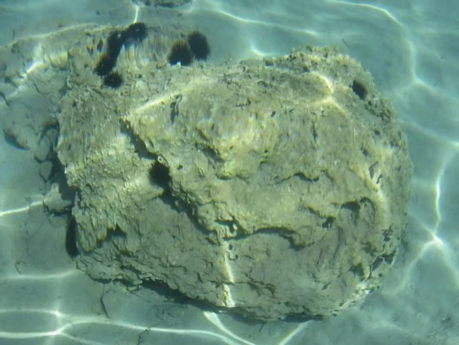 "Ein kleines Paradies"-Image-tags.info