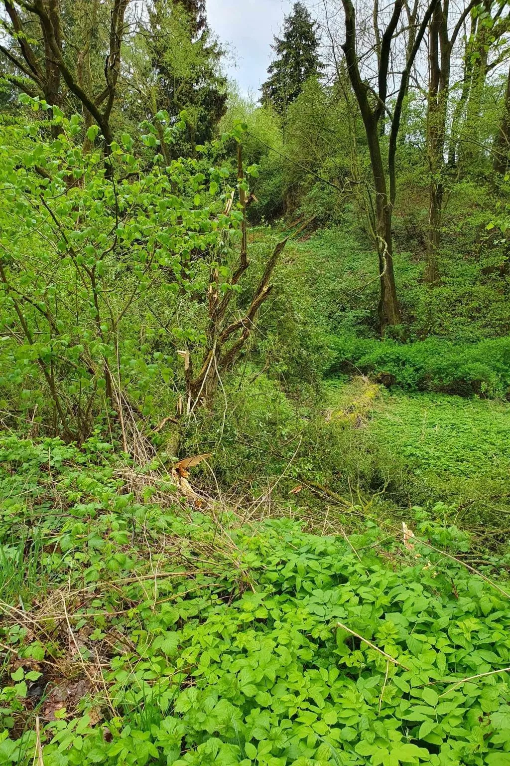 Apartment Gansäcker-Buiten
