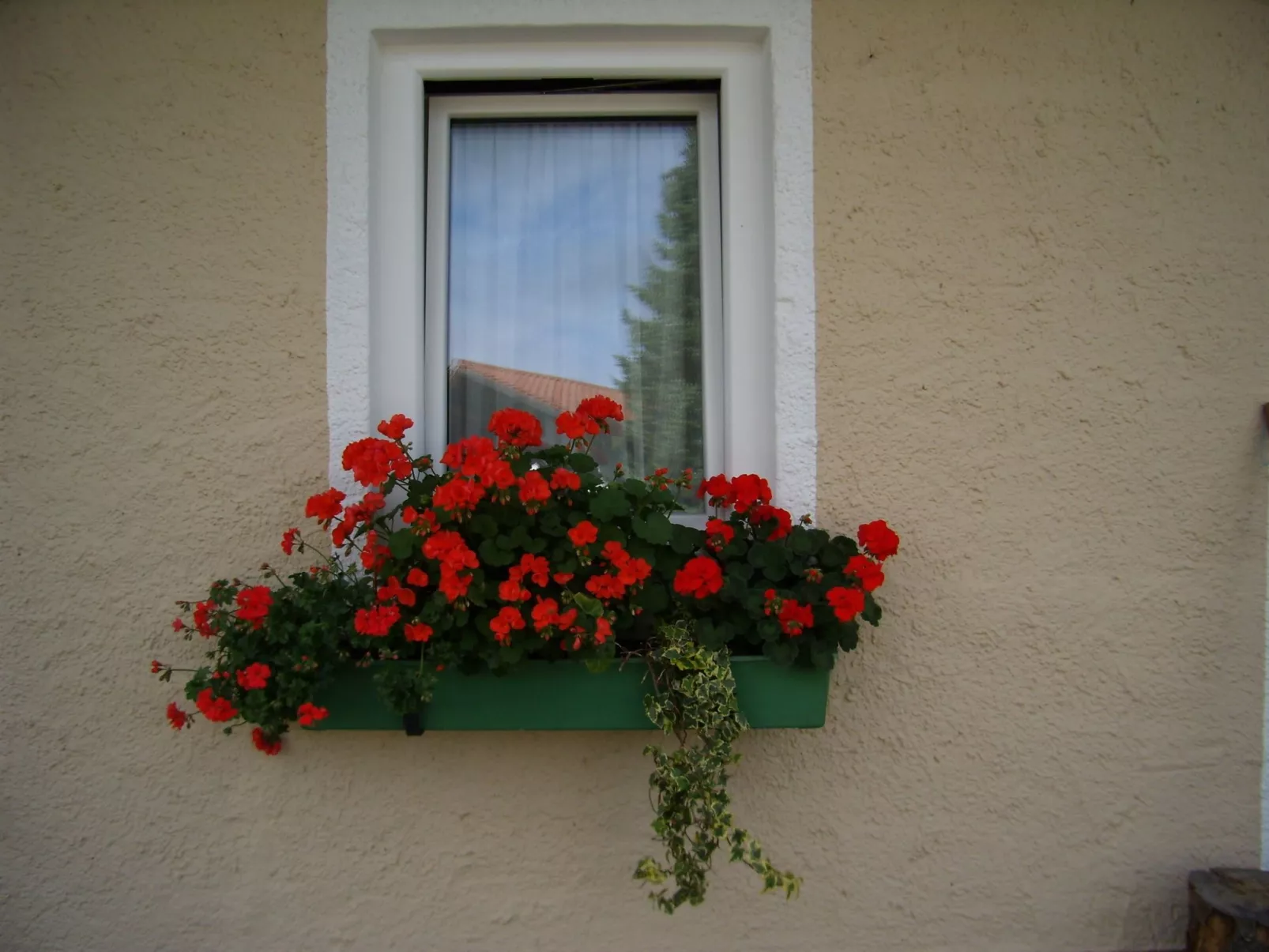 Betttis Bungalow-Buiten