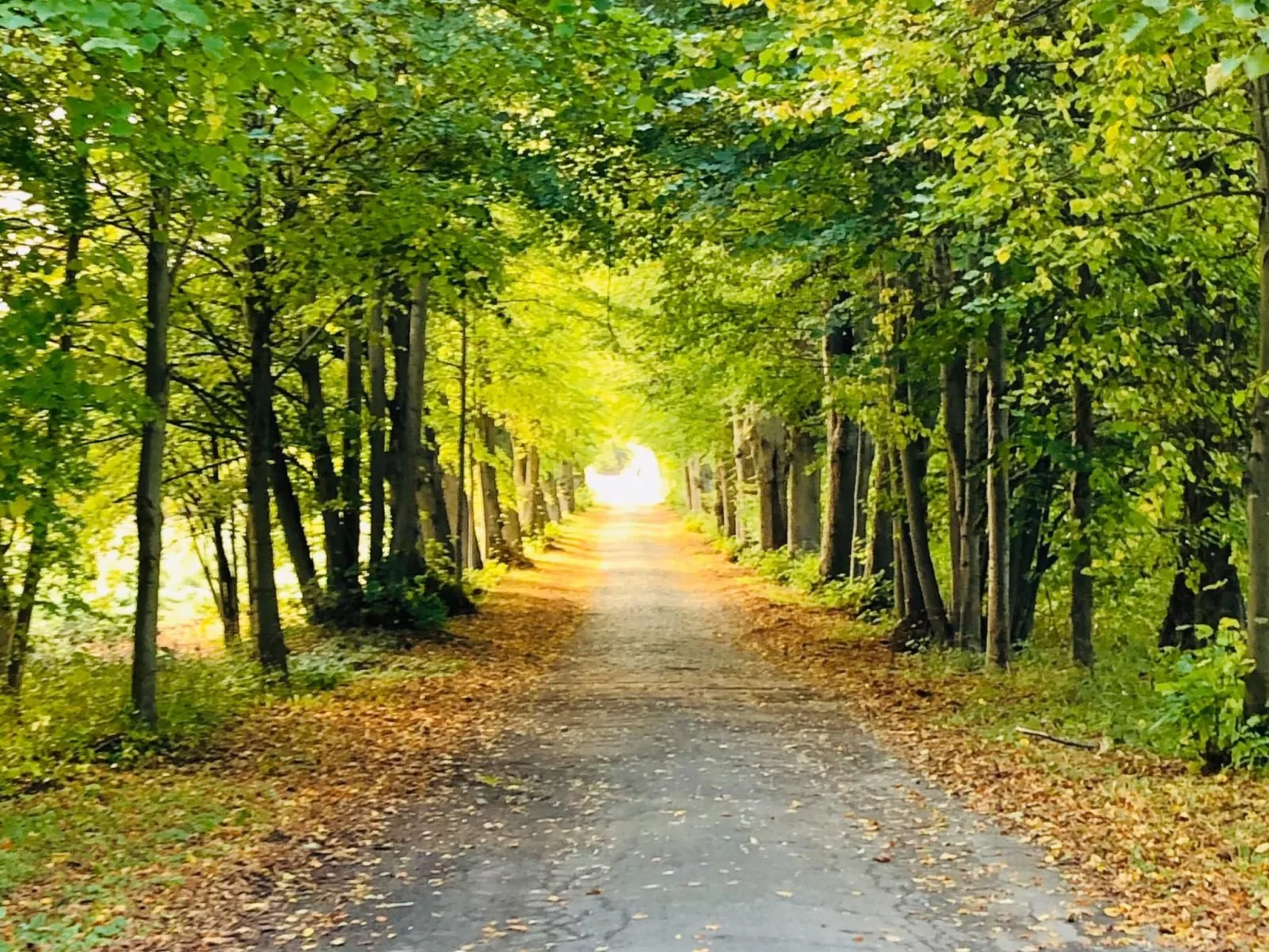 Schaalsee - Auszeit-Buiten