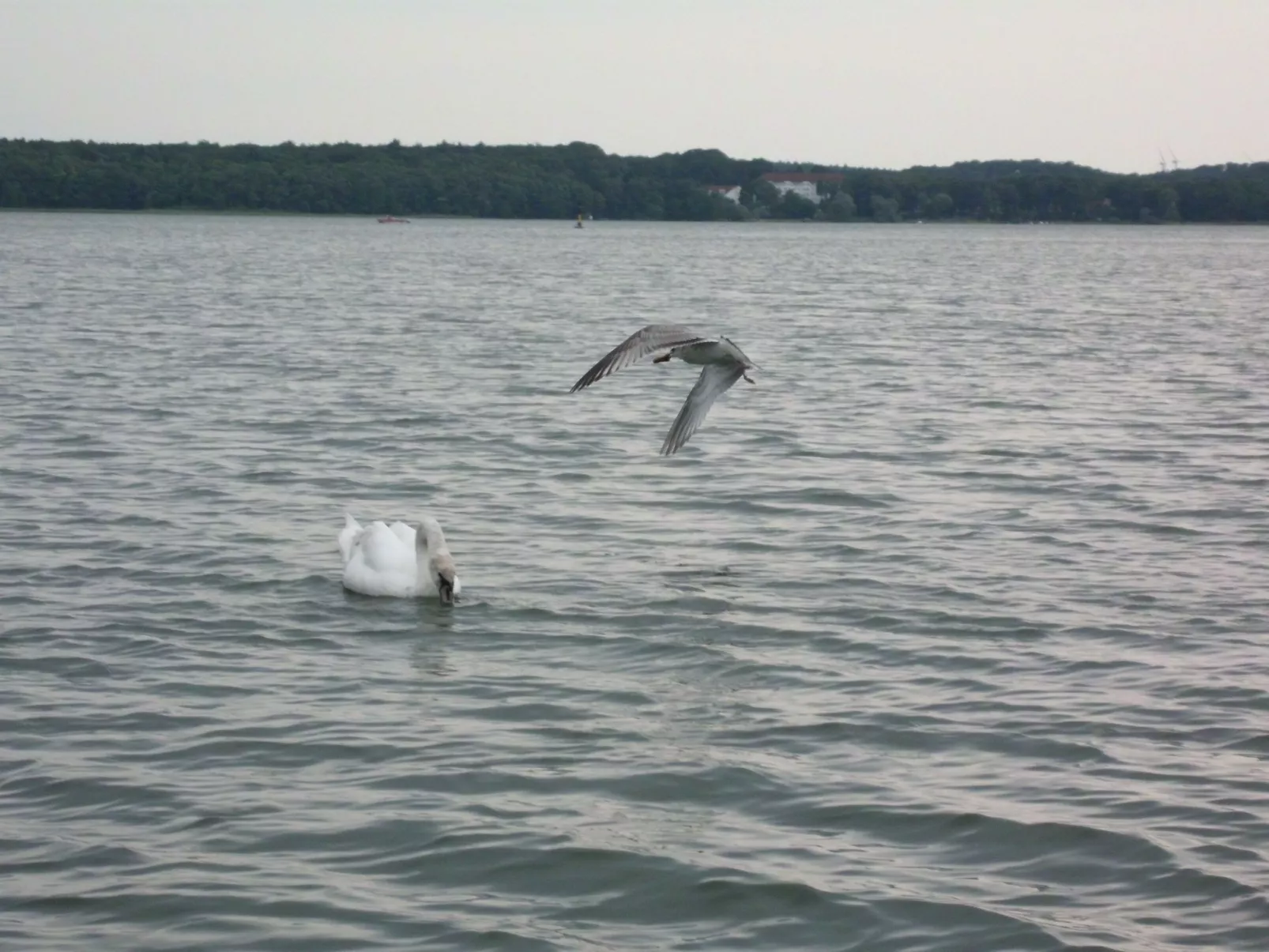 Haus Seeperle-Buiten