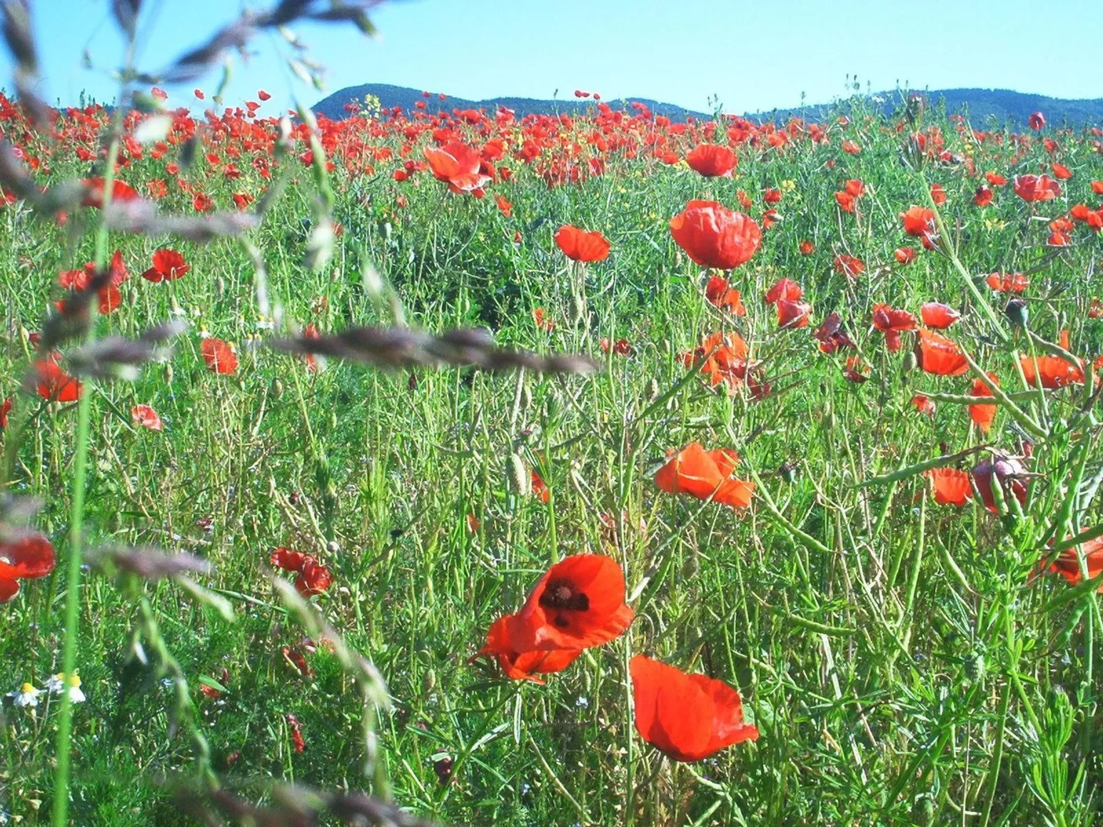 Fewo Stricker 23-Buiten