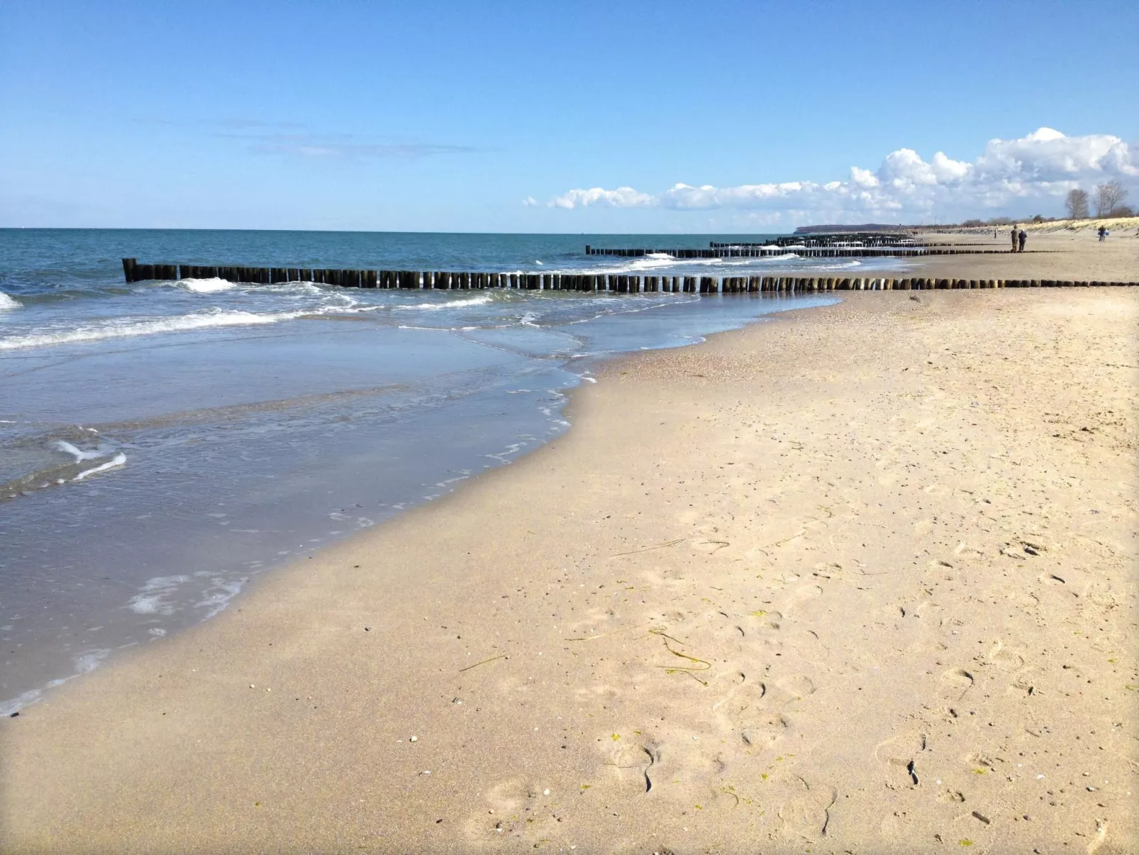 Pierkoppel OG-Image-tags.info