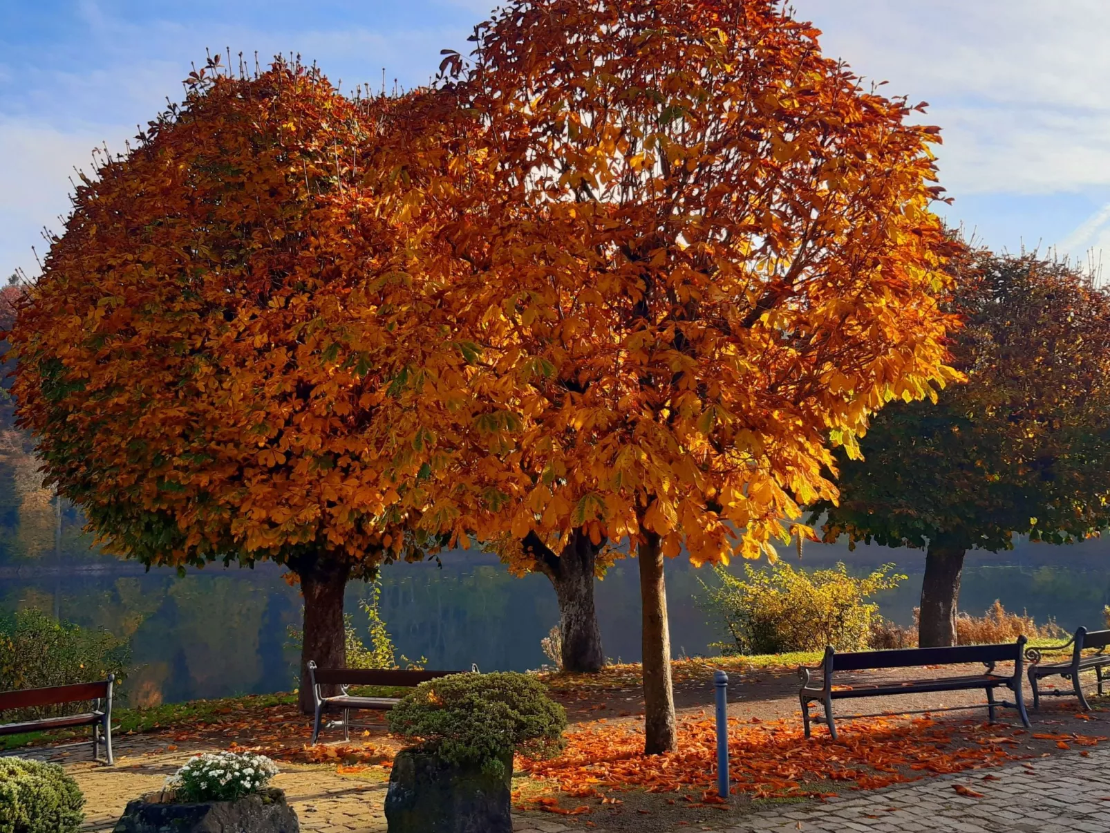 Landhaus Erika-Buiten