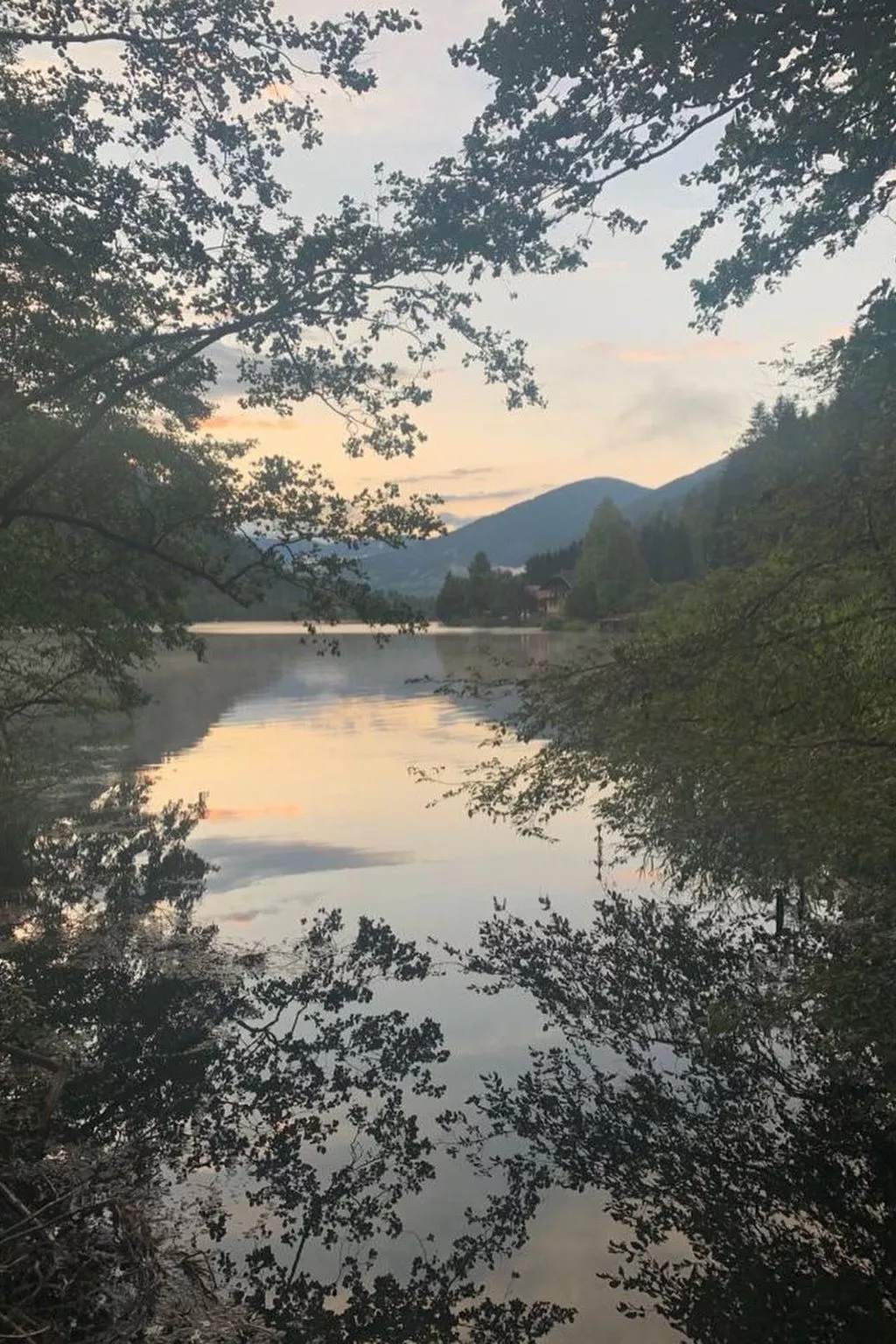Studio Seebrauer  in Feld am See-Buiten