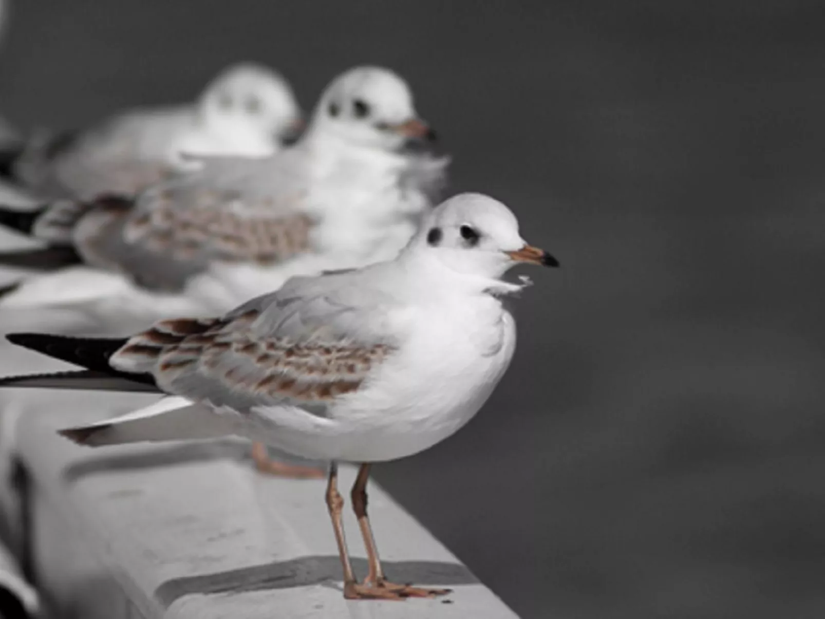 Großes Ferienhaus in Müggendorf mit Garten-Buiten