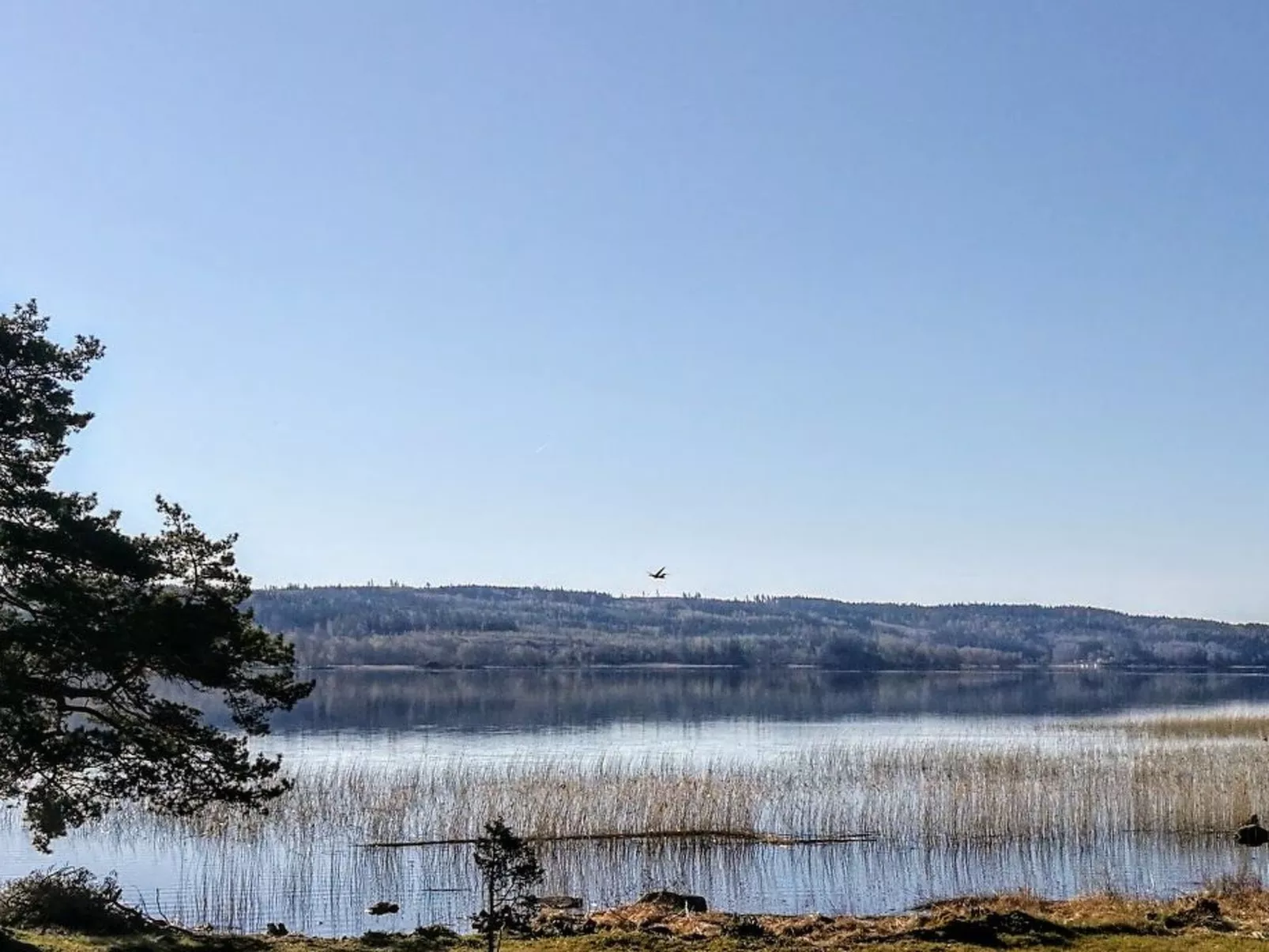 Am See Åsunden mit herrlicher Aussicht-Buiten
