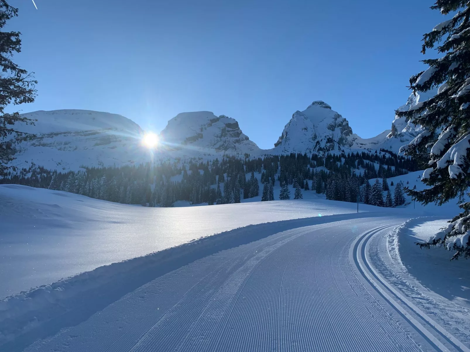 Studio alte Schmiede-Buiten