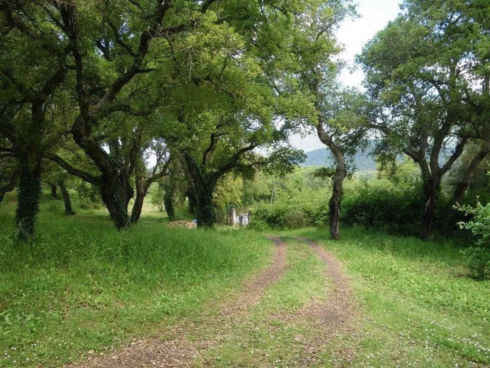 Wunderschönes Ferienhaus mit eigener Terrasse-Buiten