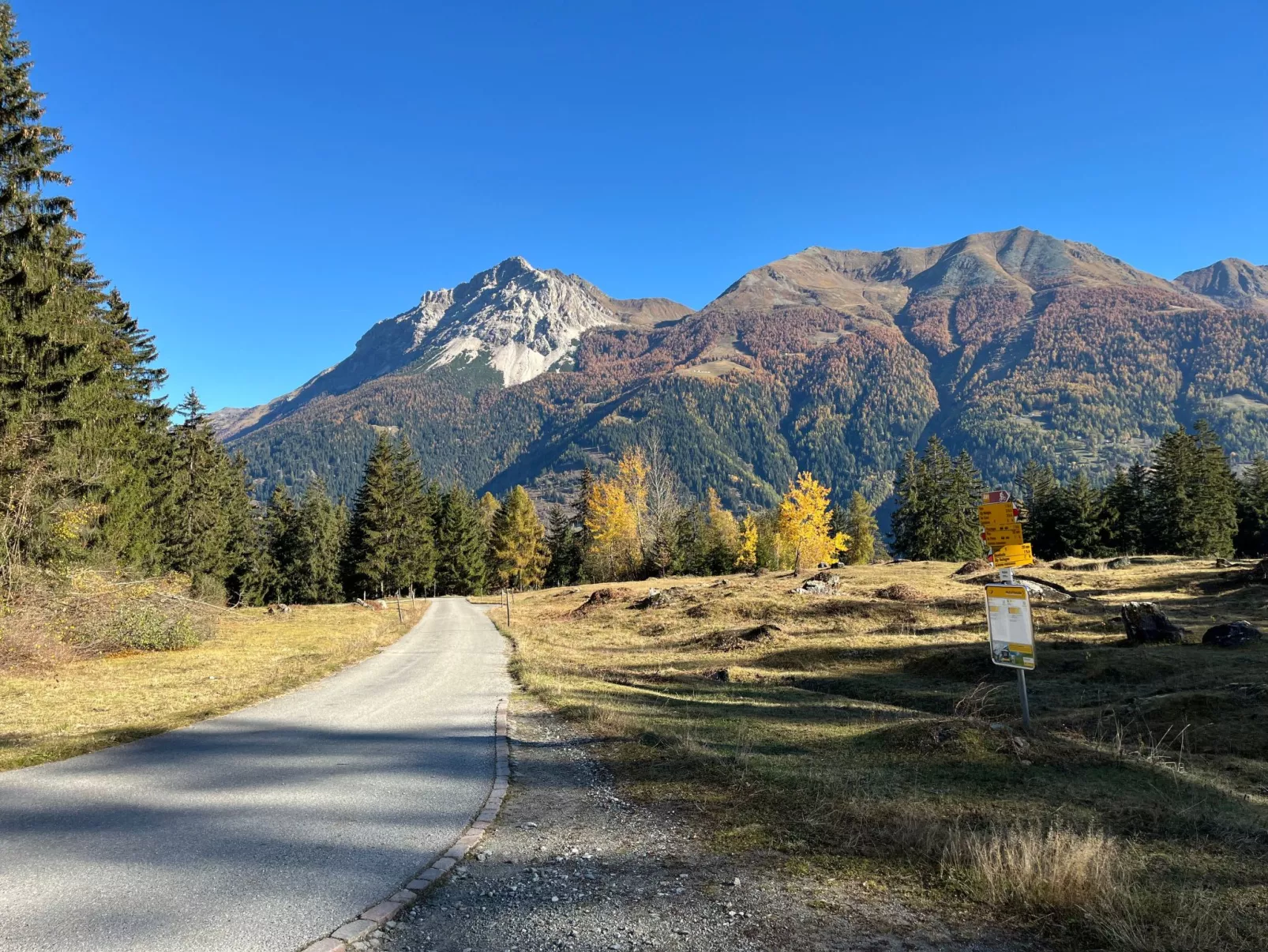 Casa Selva-Image-tags.info