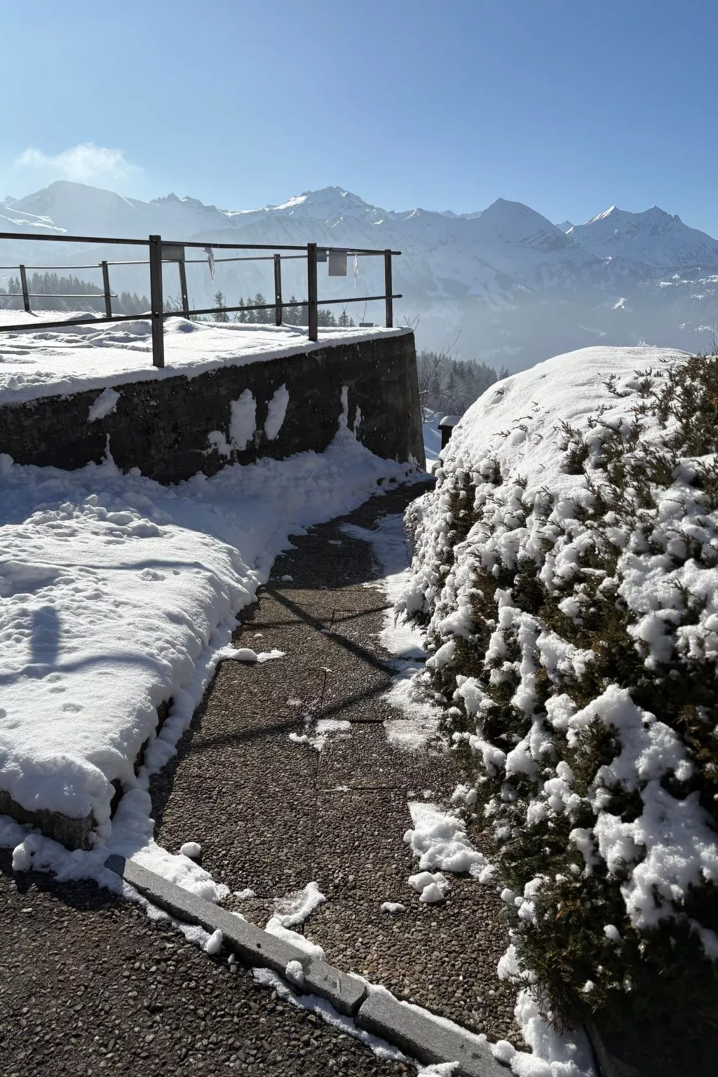 Chalet Friedheim-Buiten