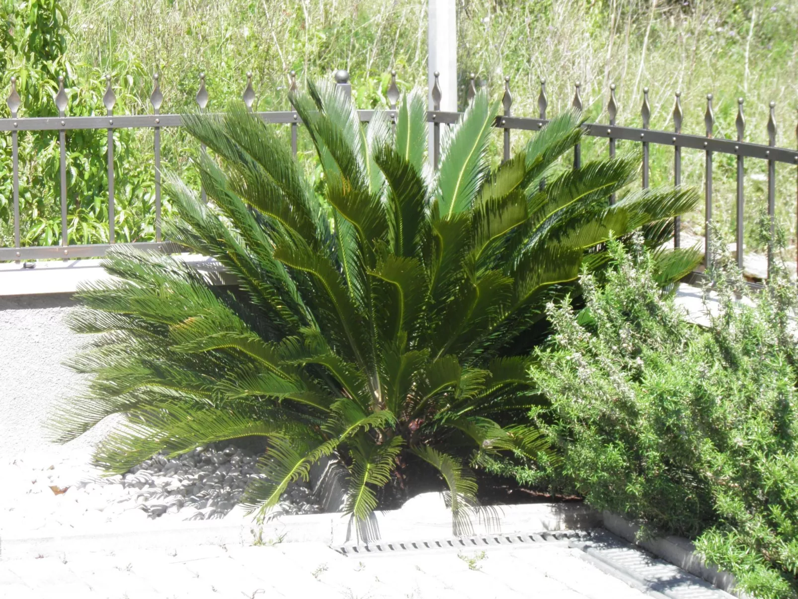 Studio im Erdgeschoss für zwei Personen mit einer Terrasse-Image-tags.info