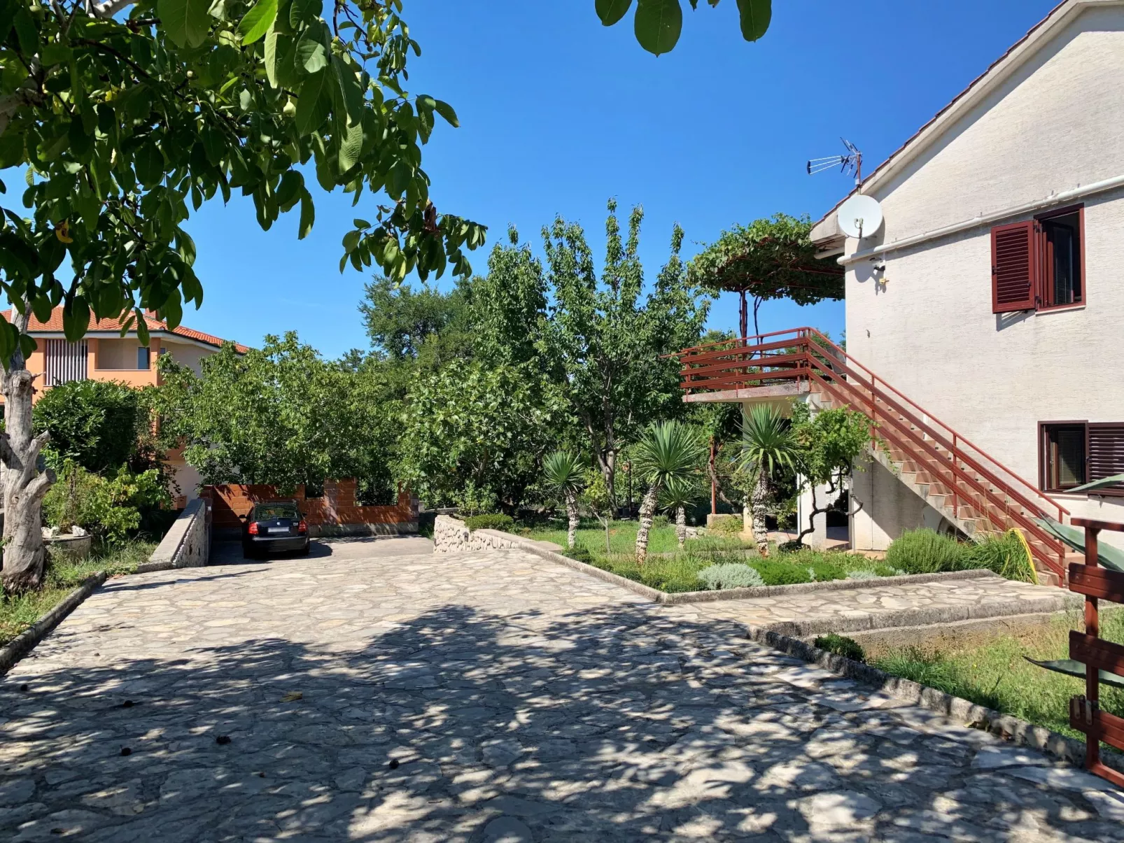 Viola - Image-tags.info