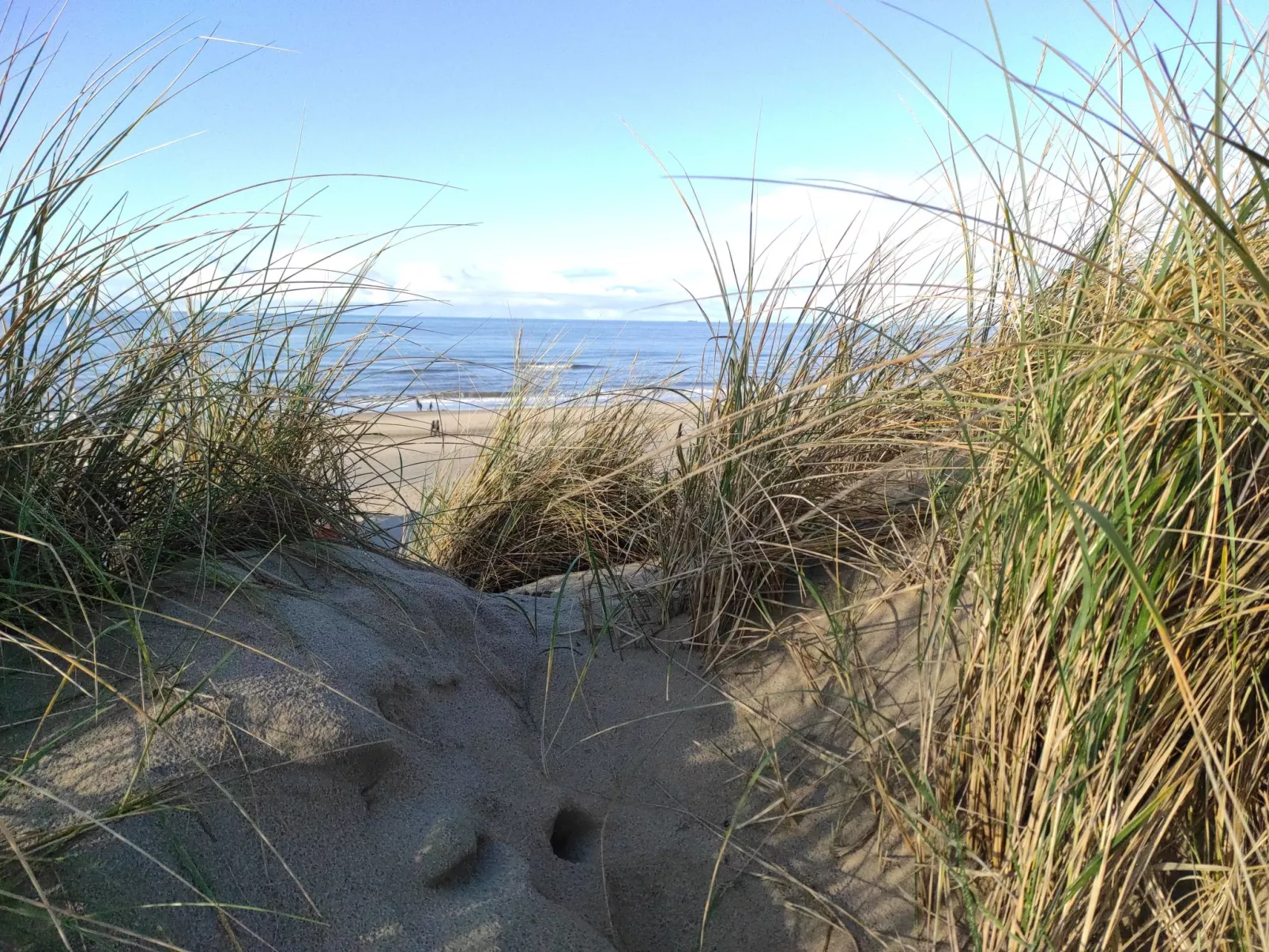 Stuivezandeweg 6, Nähe Strand-Buiten