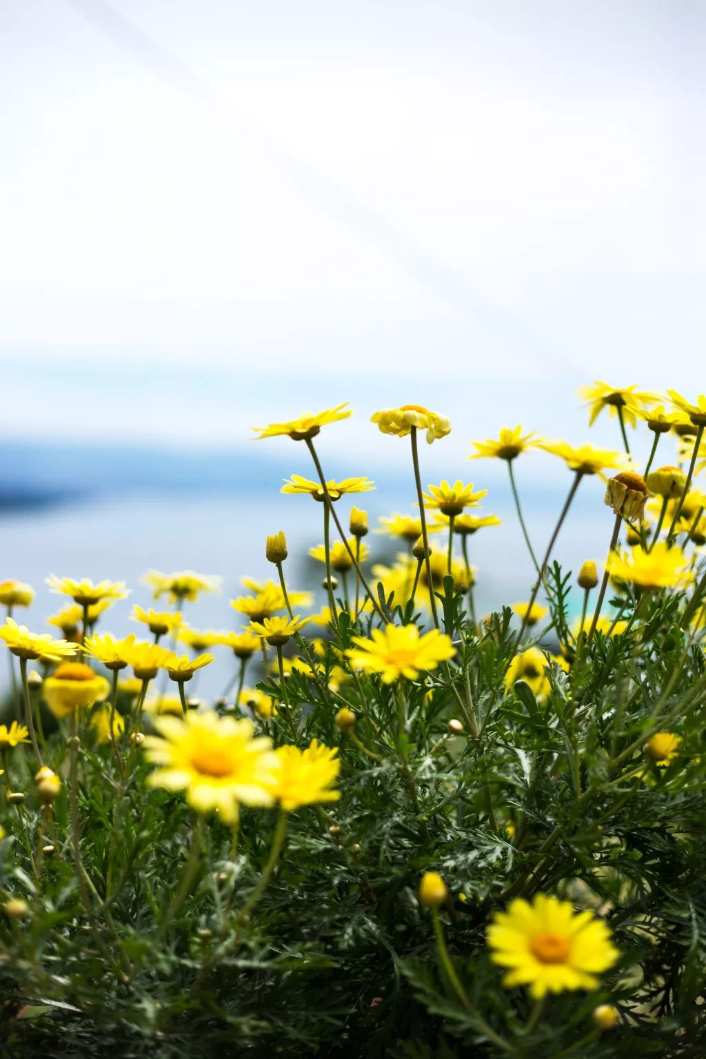 Mit Wasserblick-Buiten