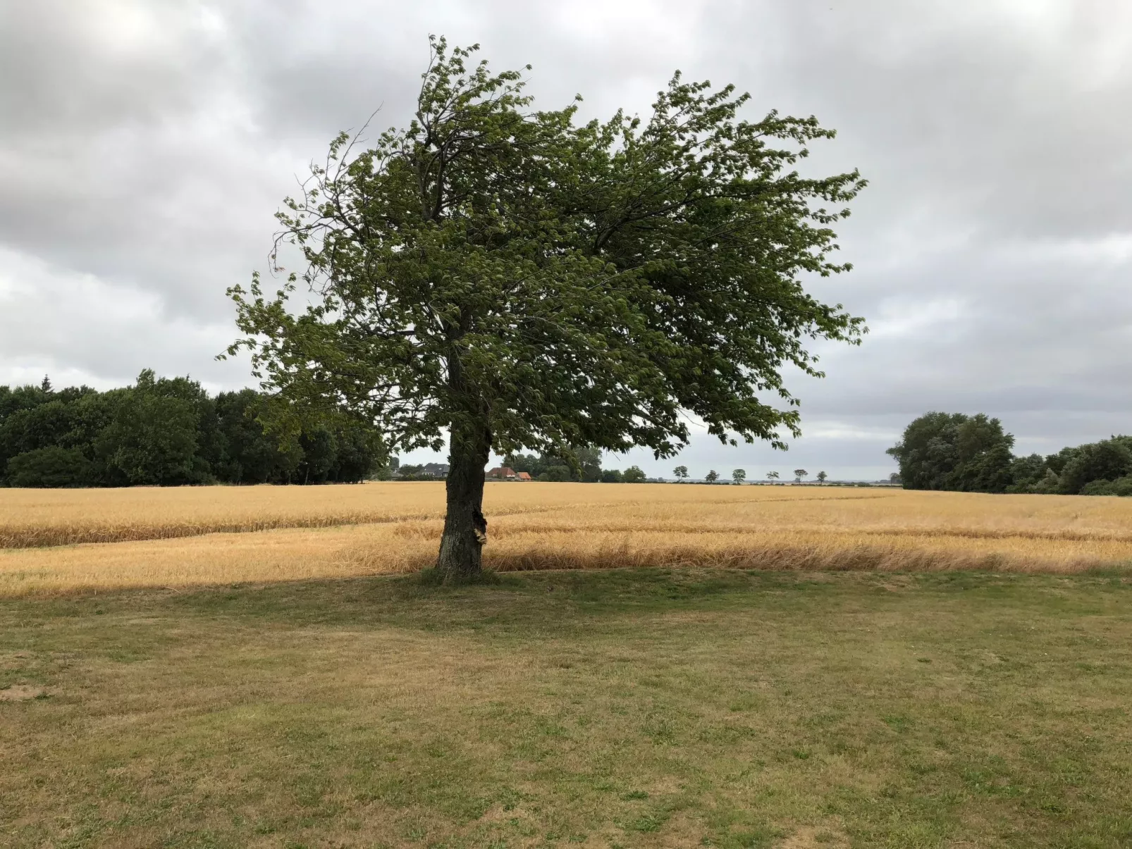 Bauernhaus auf Rügen-Image-tags.info