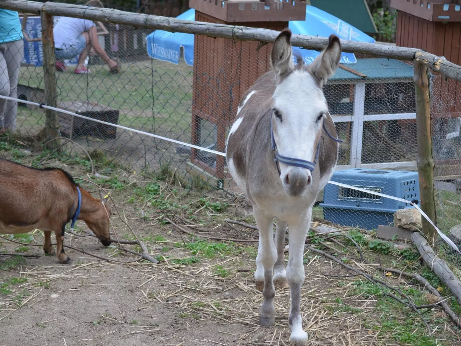Mit Balkon und zwei Schlafzimmern-Buiten