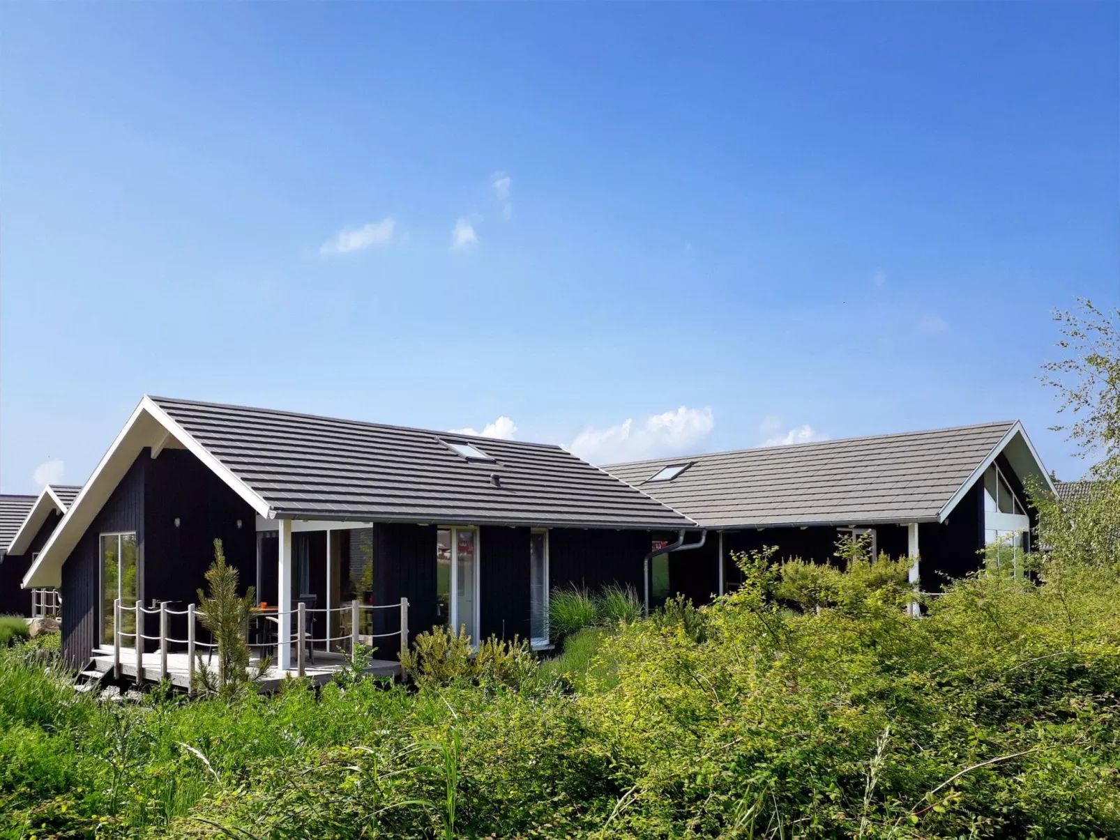 "Feldrain"-Image-tags.info