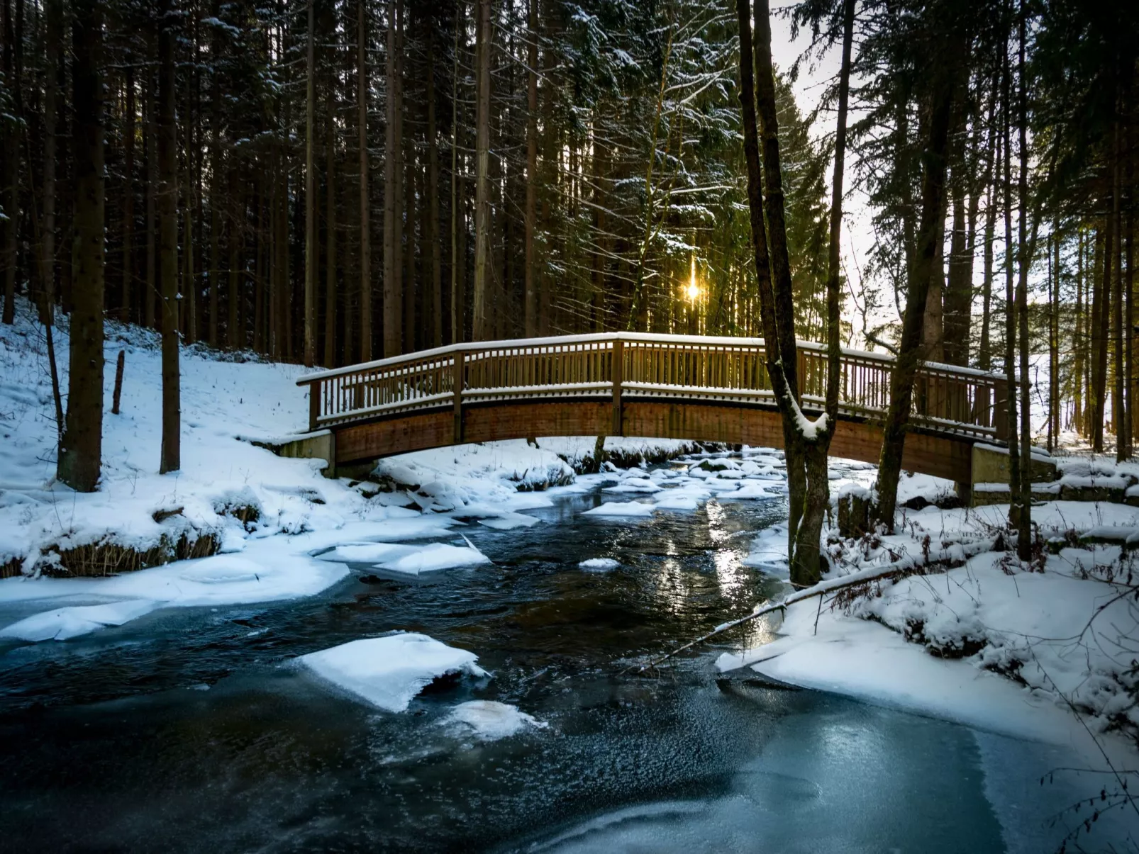 Chalet Försterei-Buiten