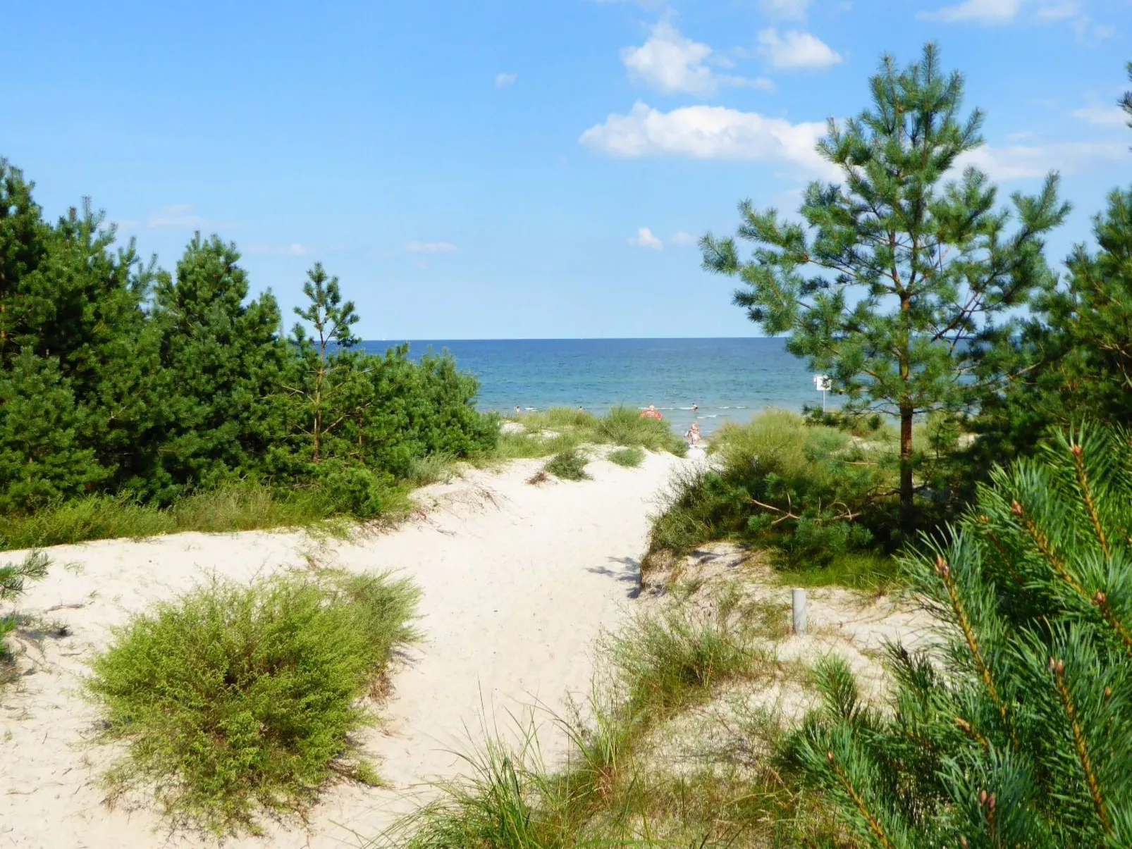 Hochwertige Ferienwohnung in Gingst-Buiten