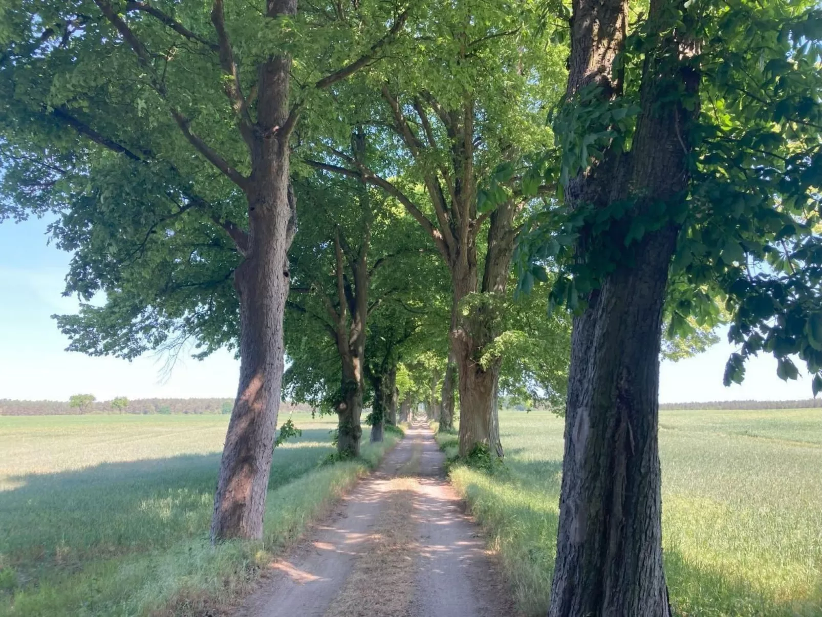 Bungalow Mecklenburgische Seenplatte-Image-tags.info