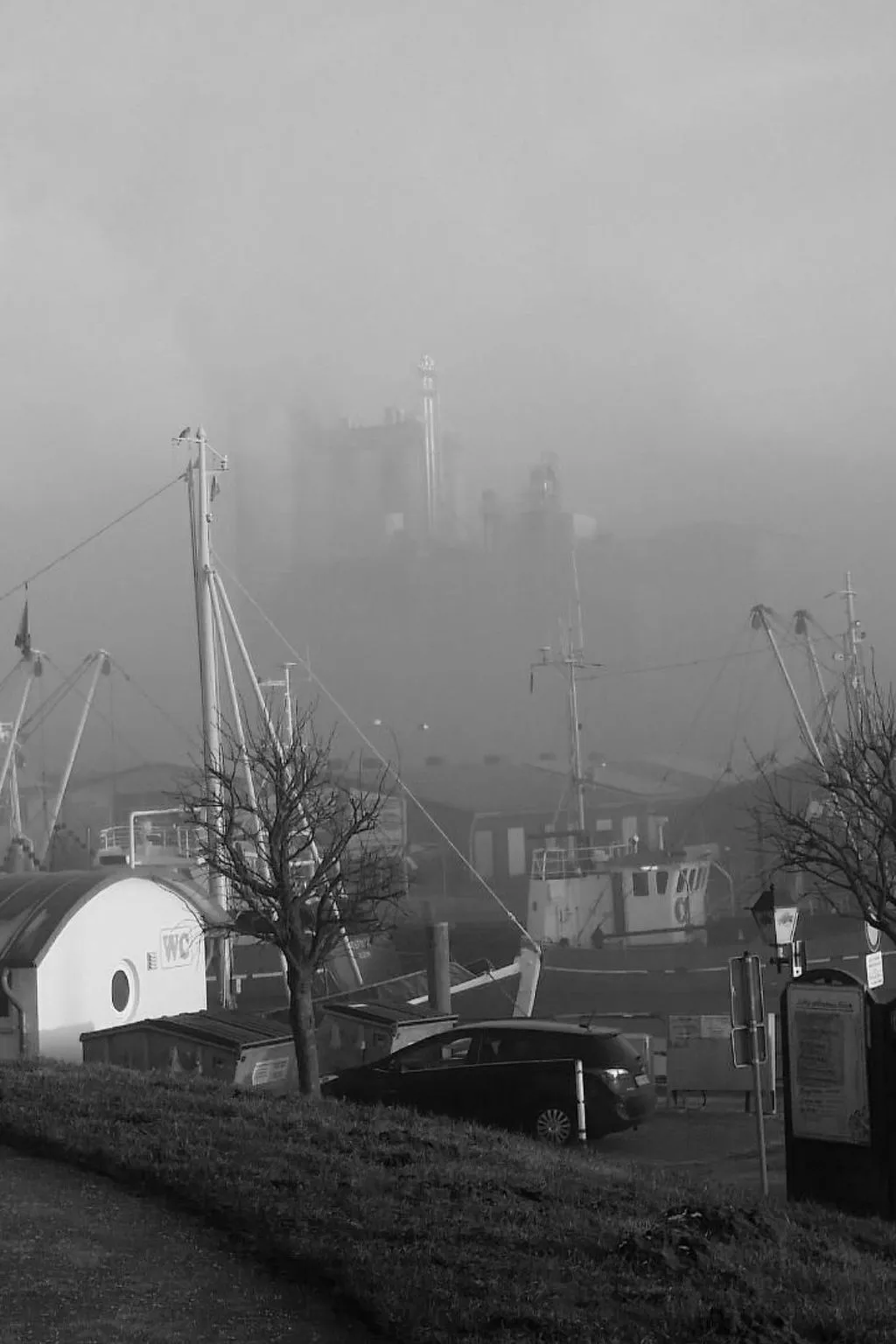 Ilka-Image-tags.info