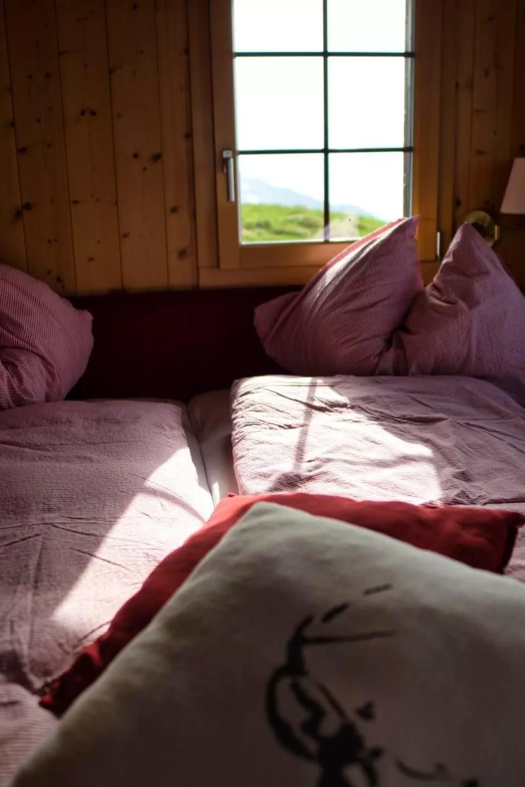 CHÜESTALL HITTA RIEDERALP-Binnen