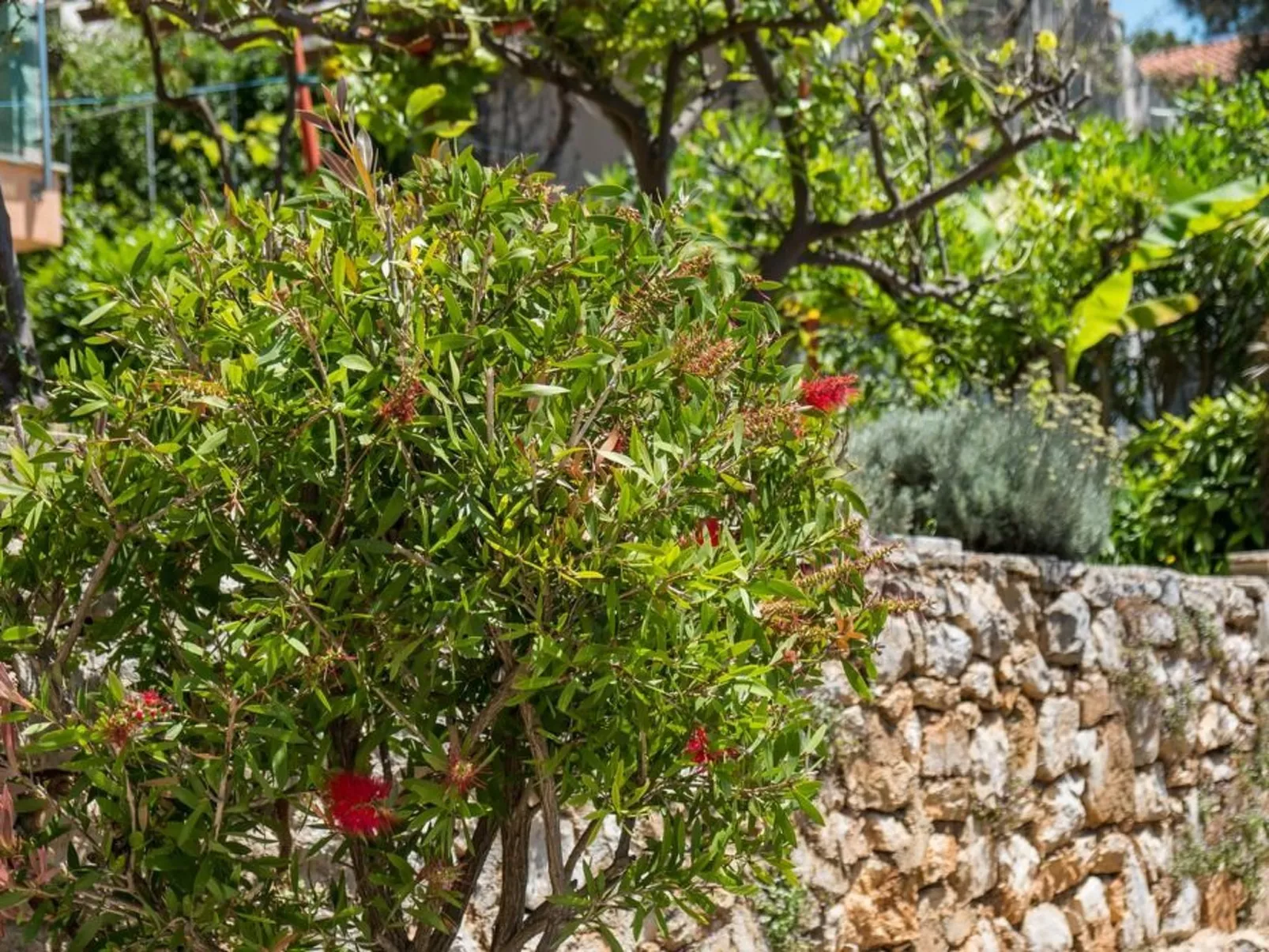 Villa Magnolia - Apartment Lavanda-Image-tags.info