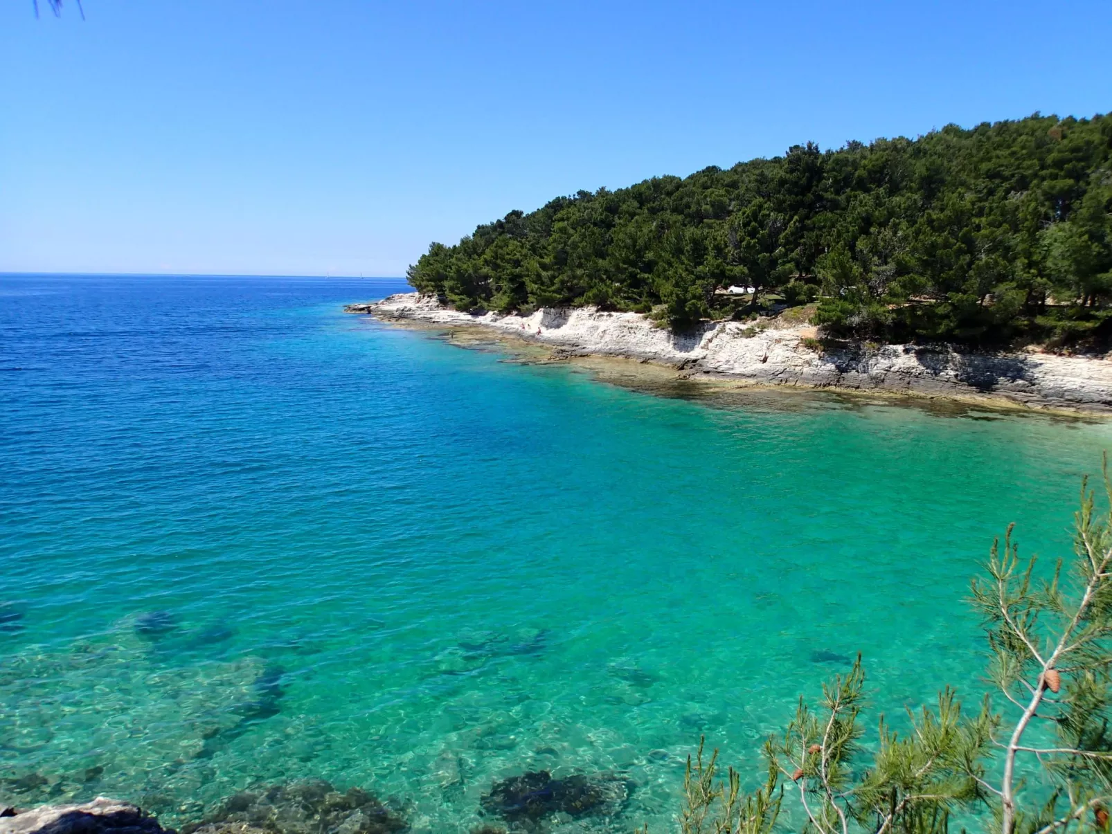 Gemütliches Studio-Apartment-Buiten