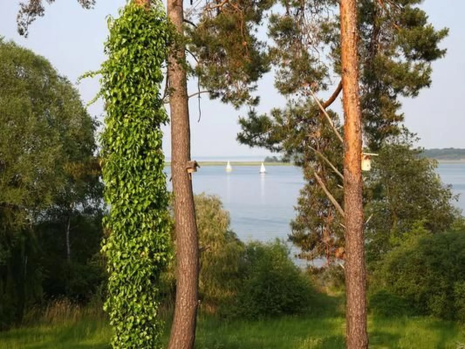 Müritzblick35-Buiten