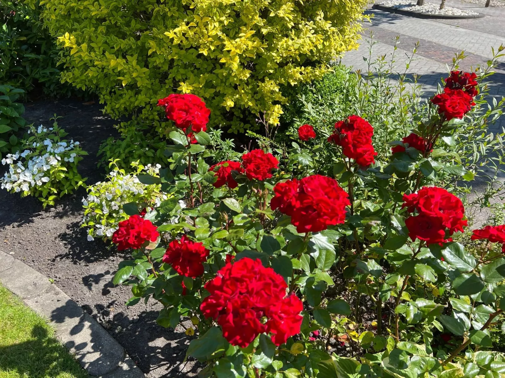 Fewo Strandnah-Buiten