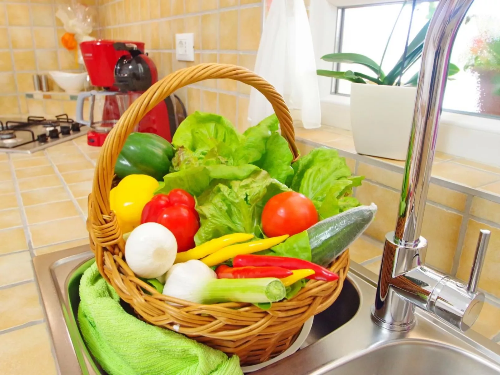 Haus Mauro-Image-tags.info