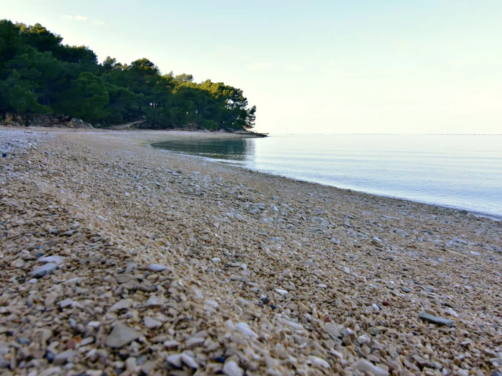 ALBINA STUDIO 5-Buiten