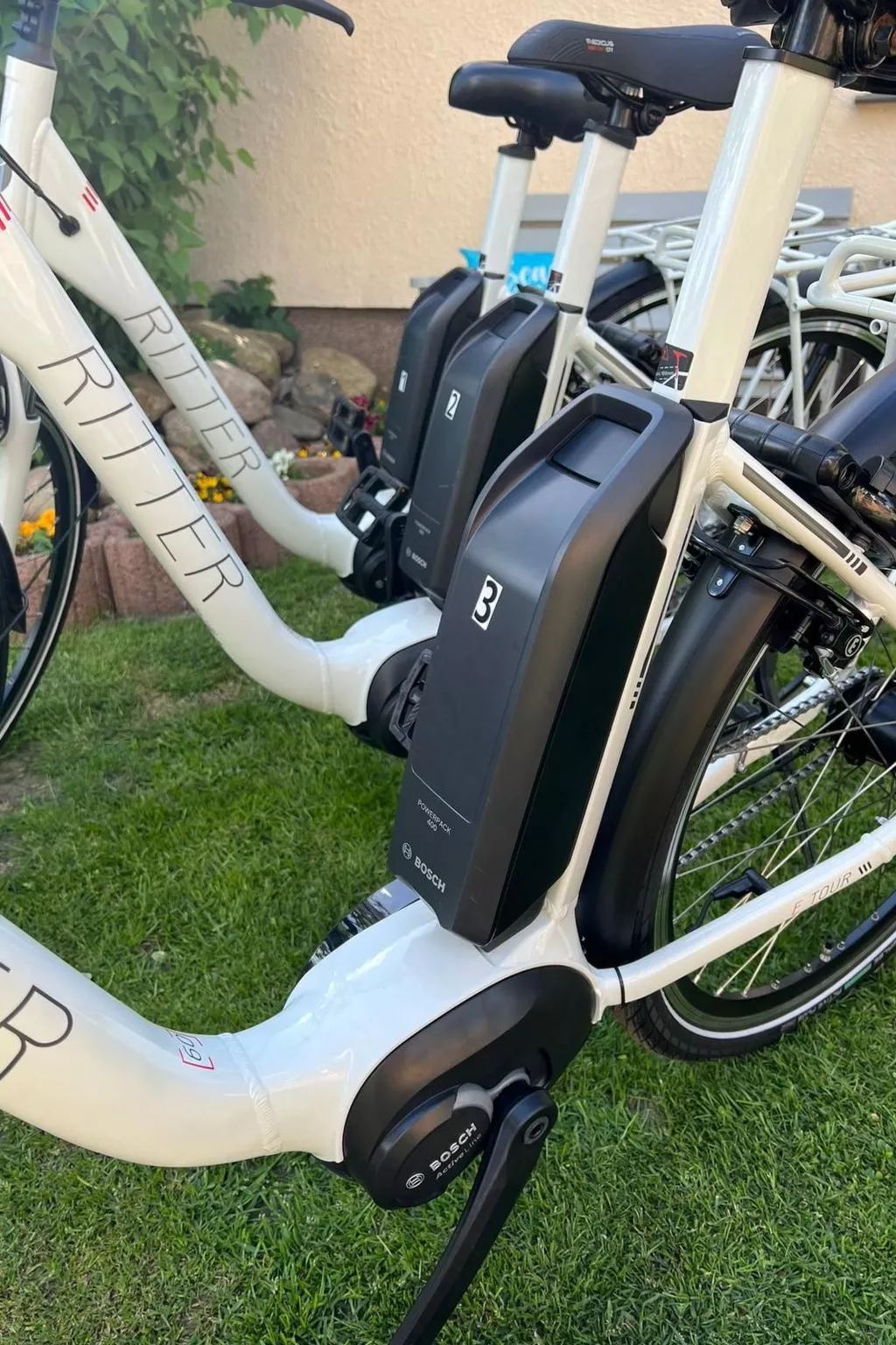 Blockbohlenhaus Plau am See-Buiten